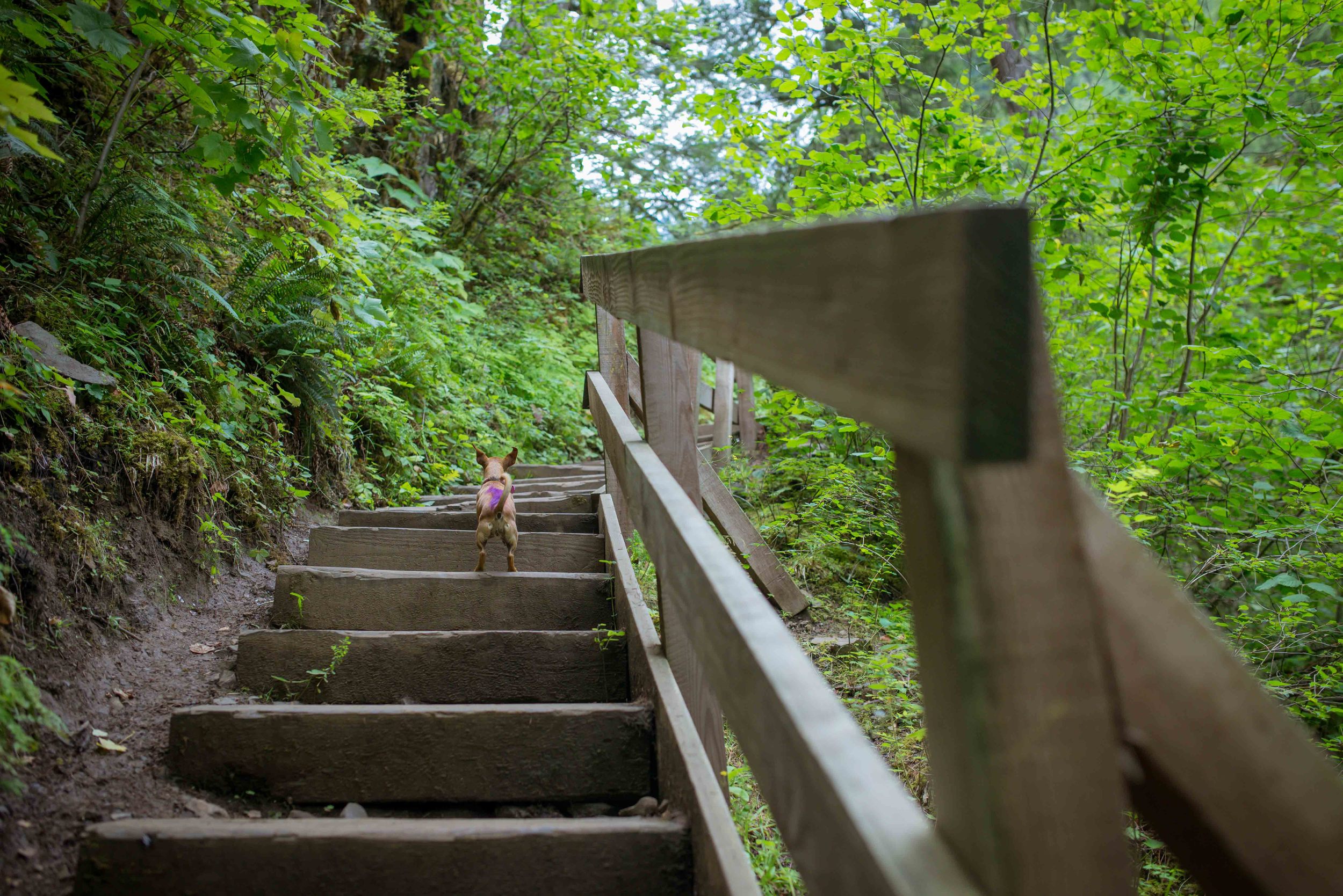 Leah+Lily_HIking_JJFoto-6.jpg