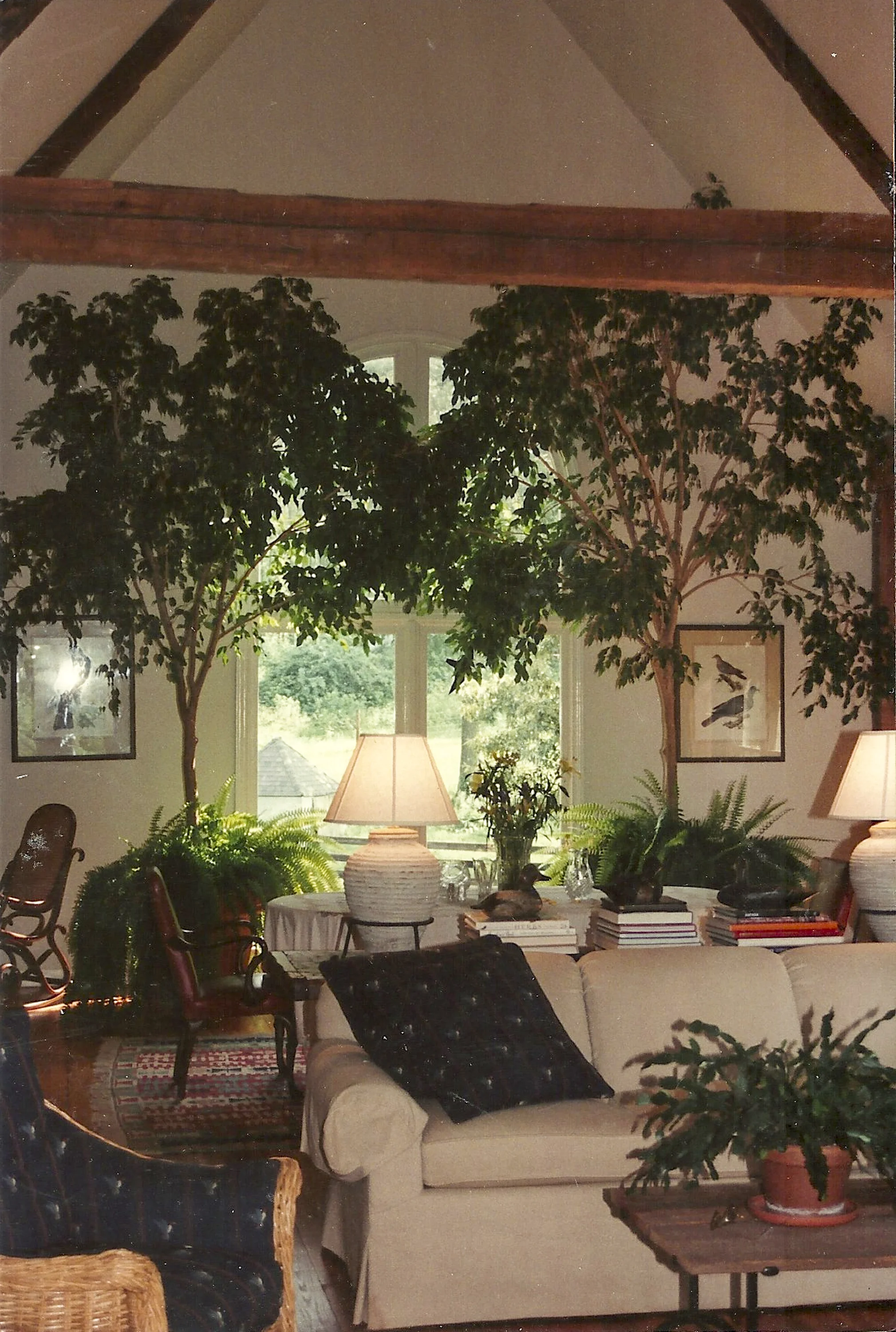 Scan 5.jpg