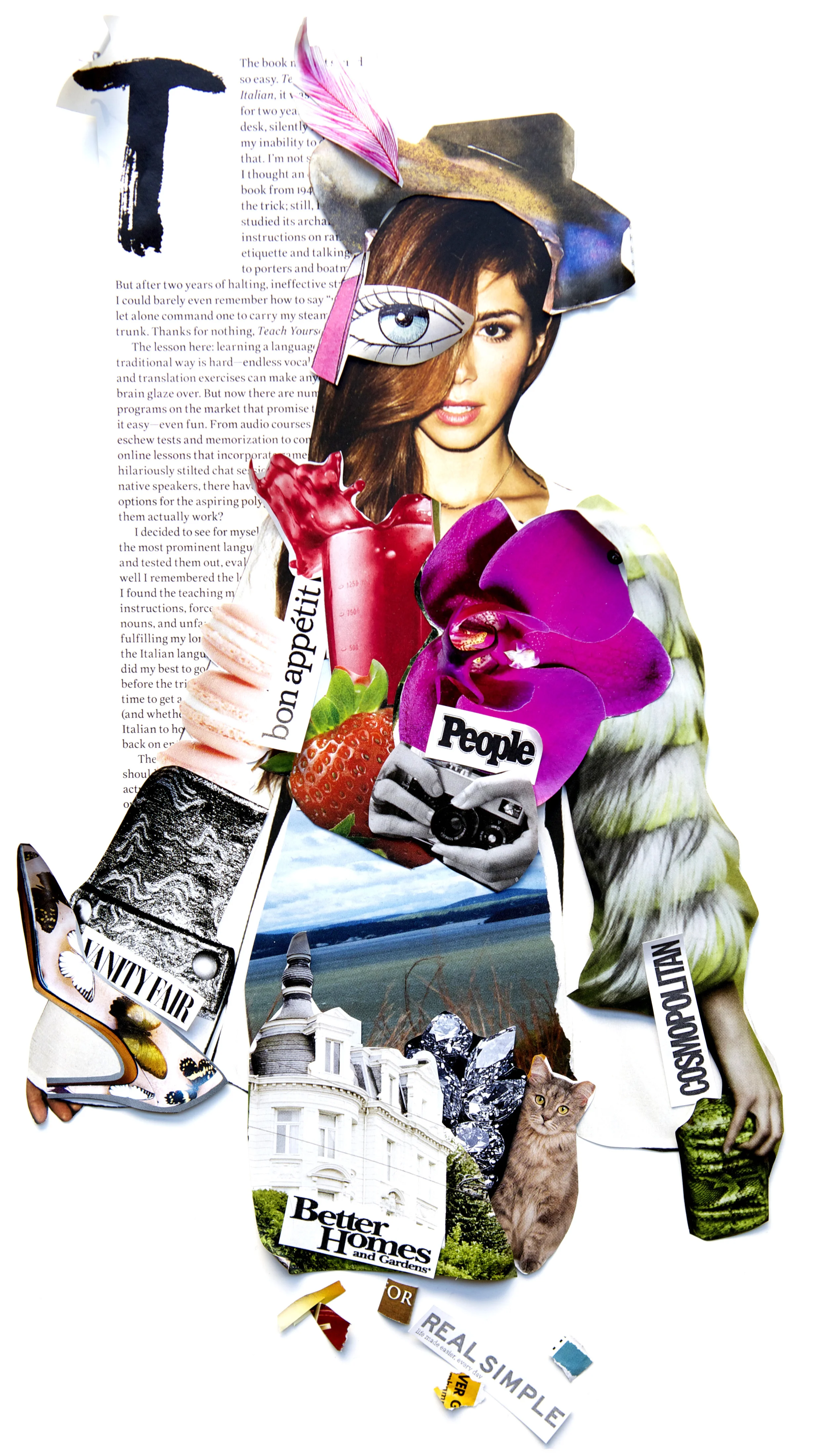 Next Issue (Texture) | Collage 4