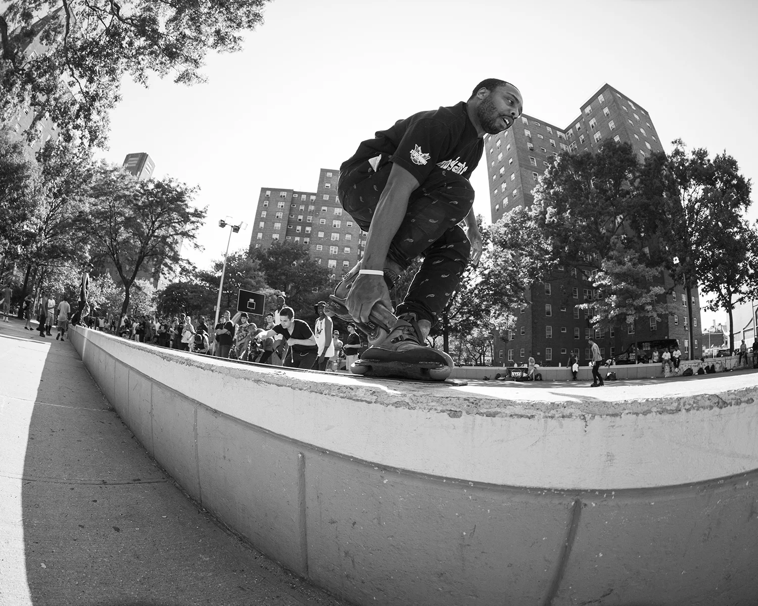 Mr. Knight DipSkate