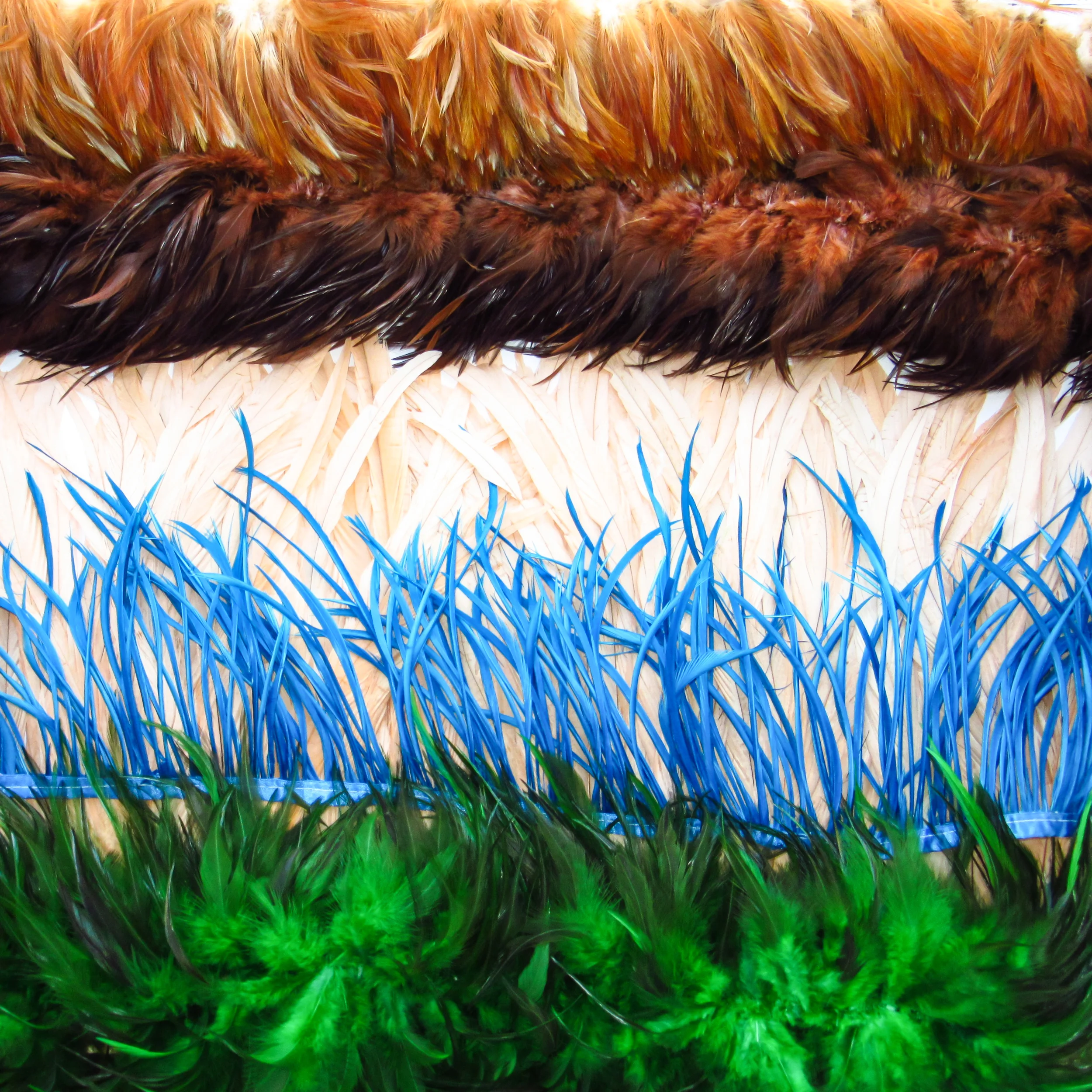Franges de plumes