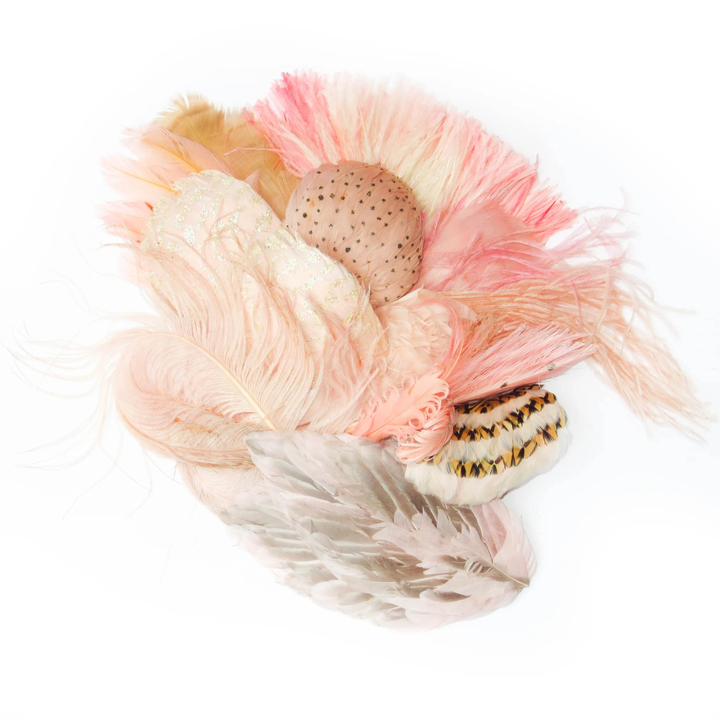 Plumes rose pâle