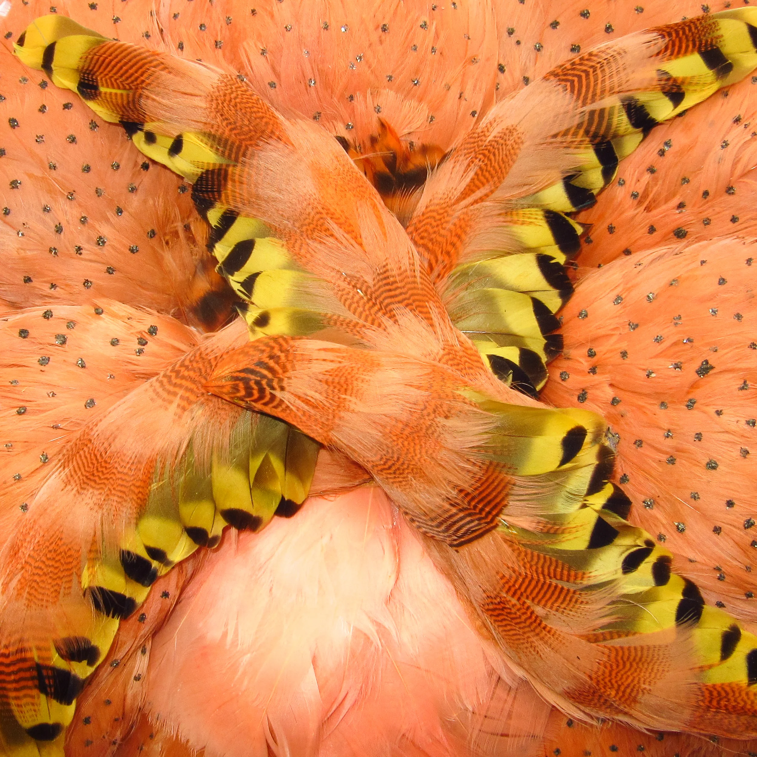 Plumes saumon