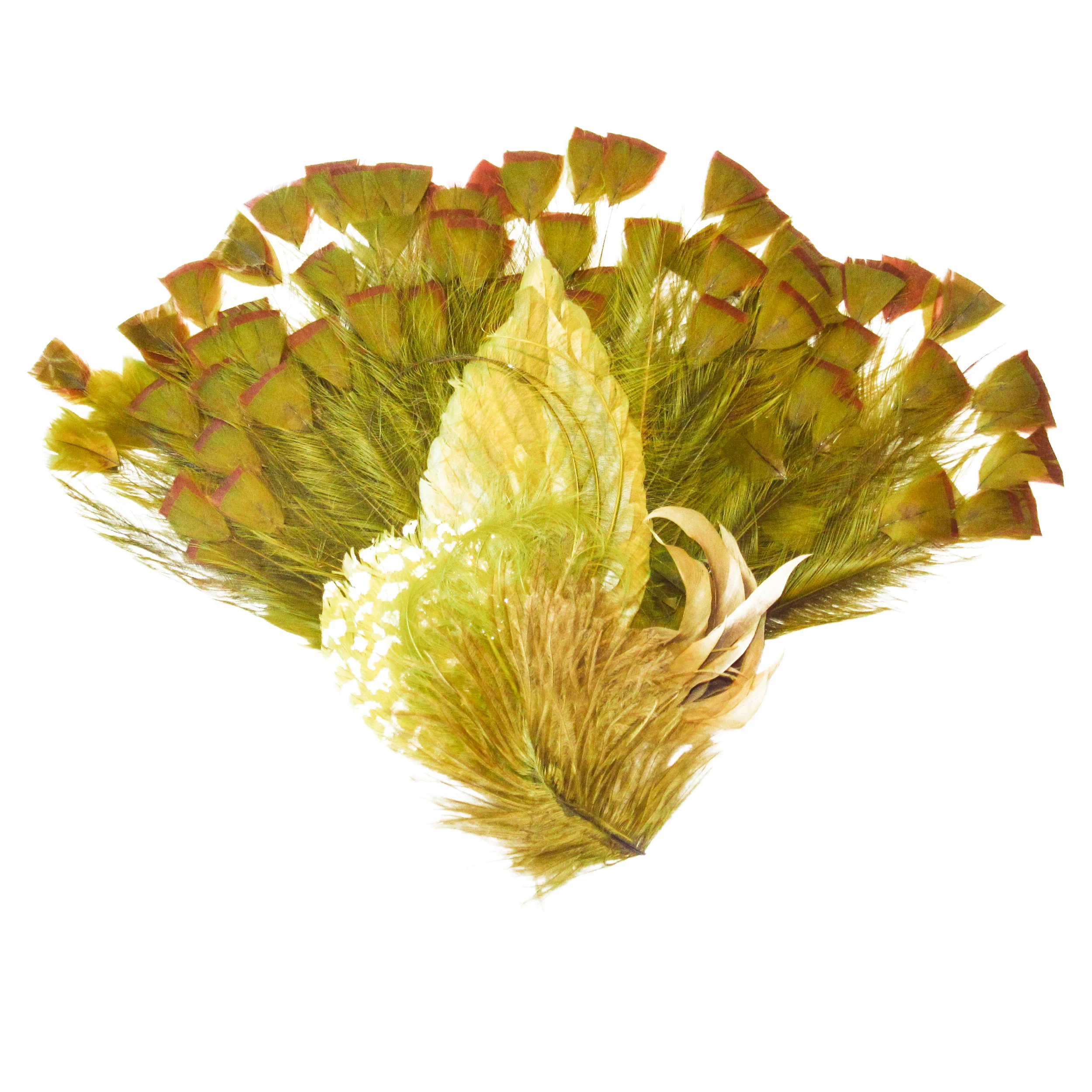 Plumes kaki