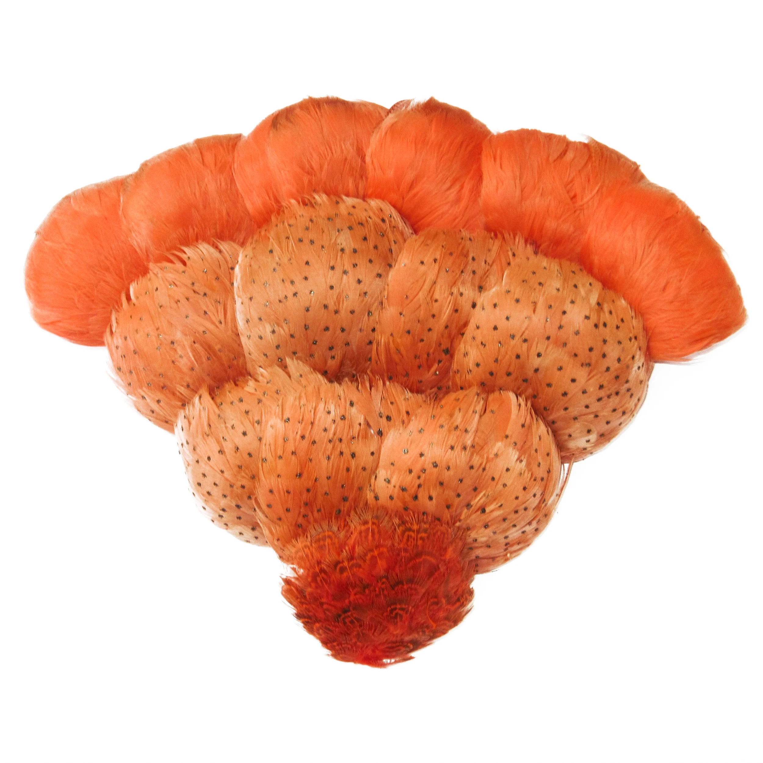 Plumes orange saumon