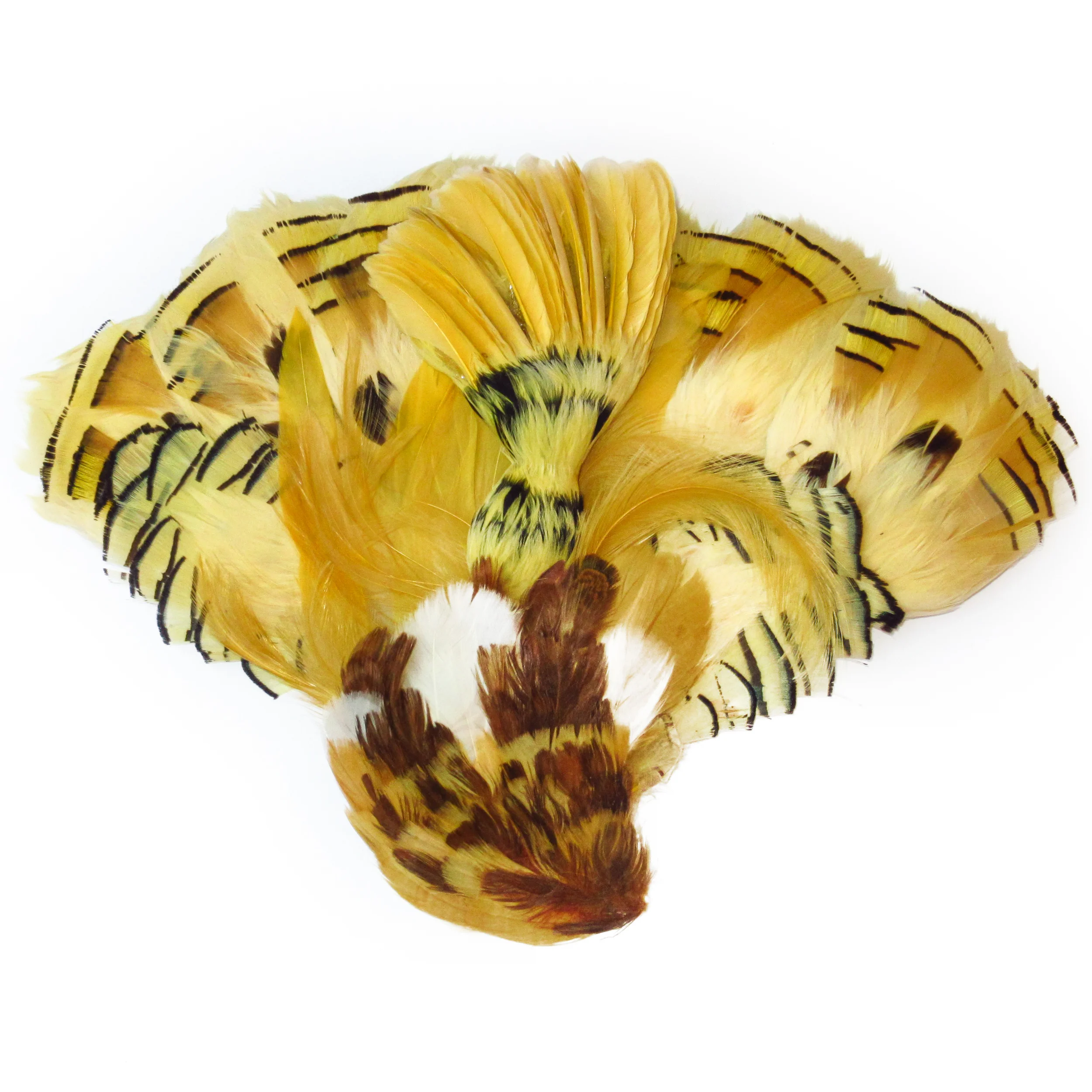 Plumes jaune beige