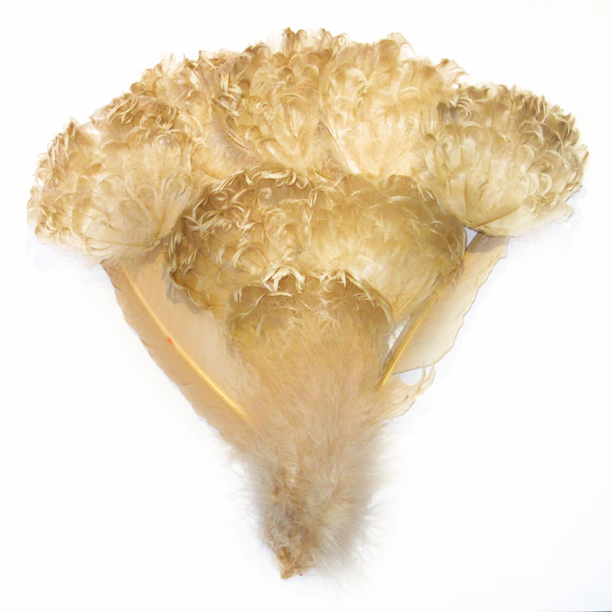 Plumes beige pâle