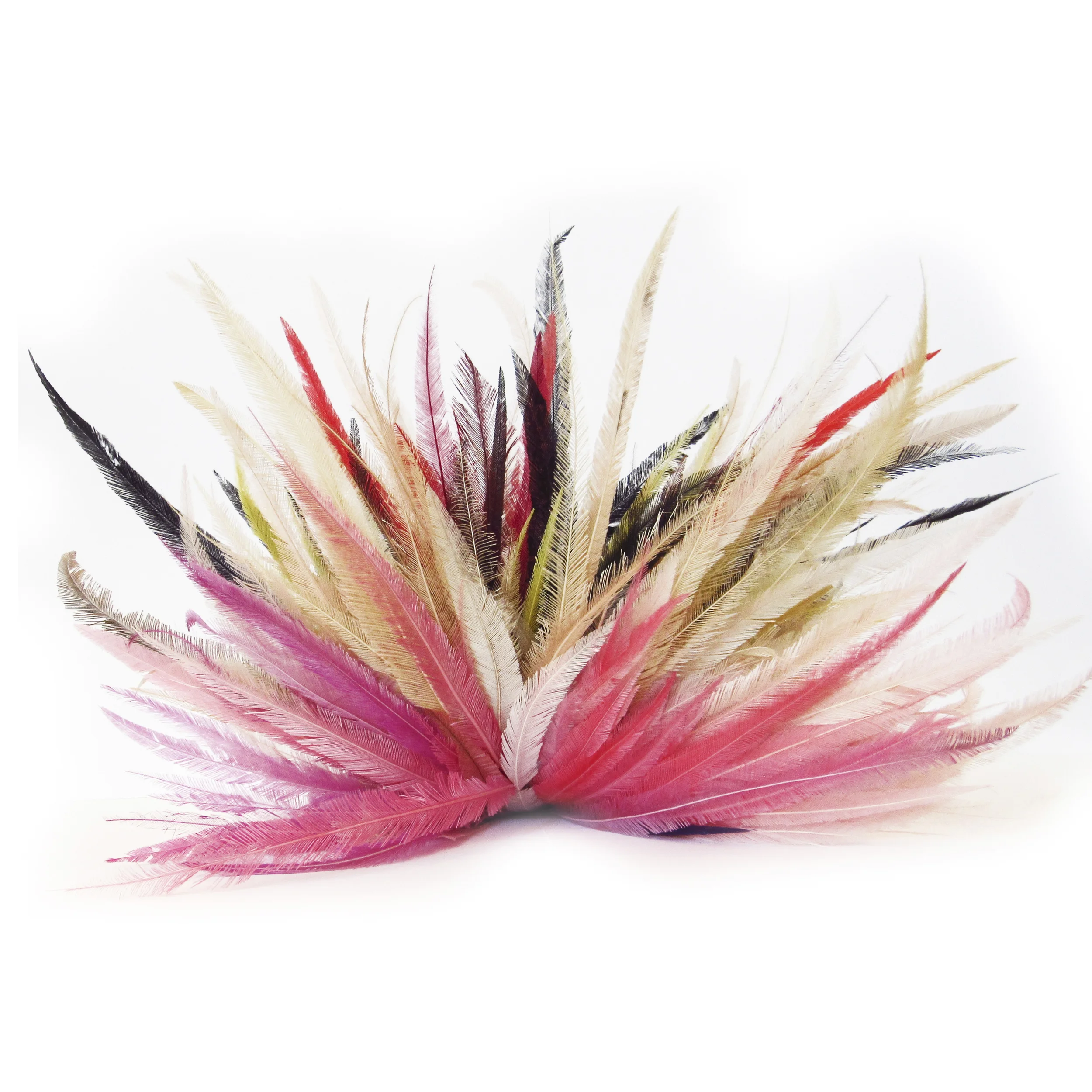 Plumes d'autruches mince