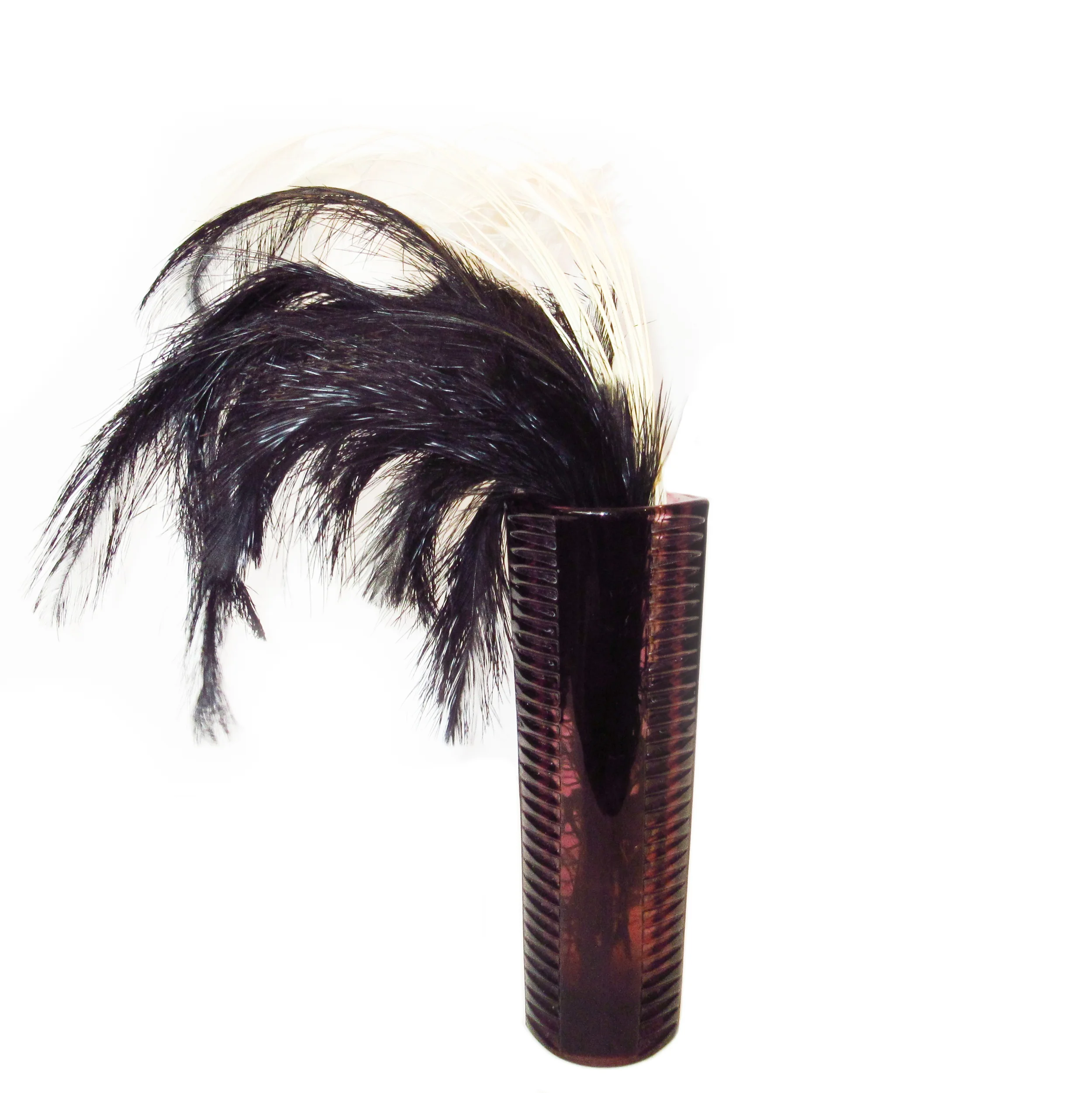 Plumes d'autruches souples