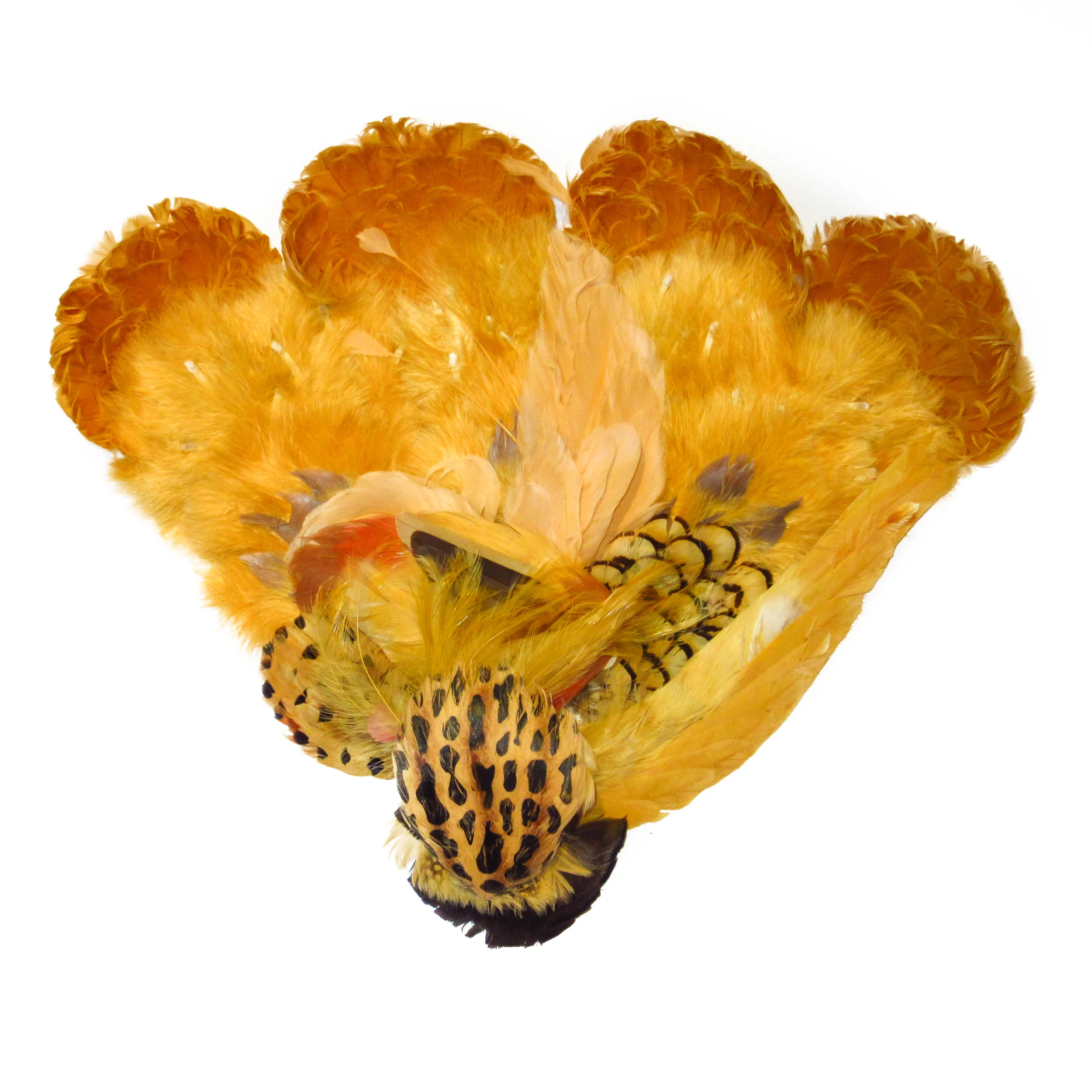Yellow orange feathers