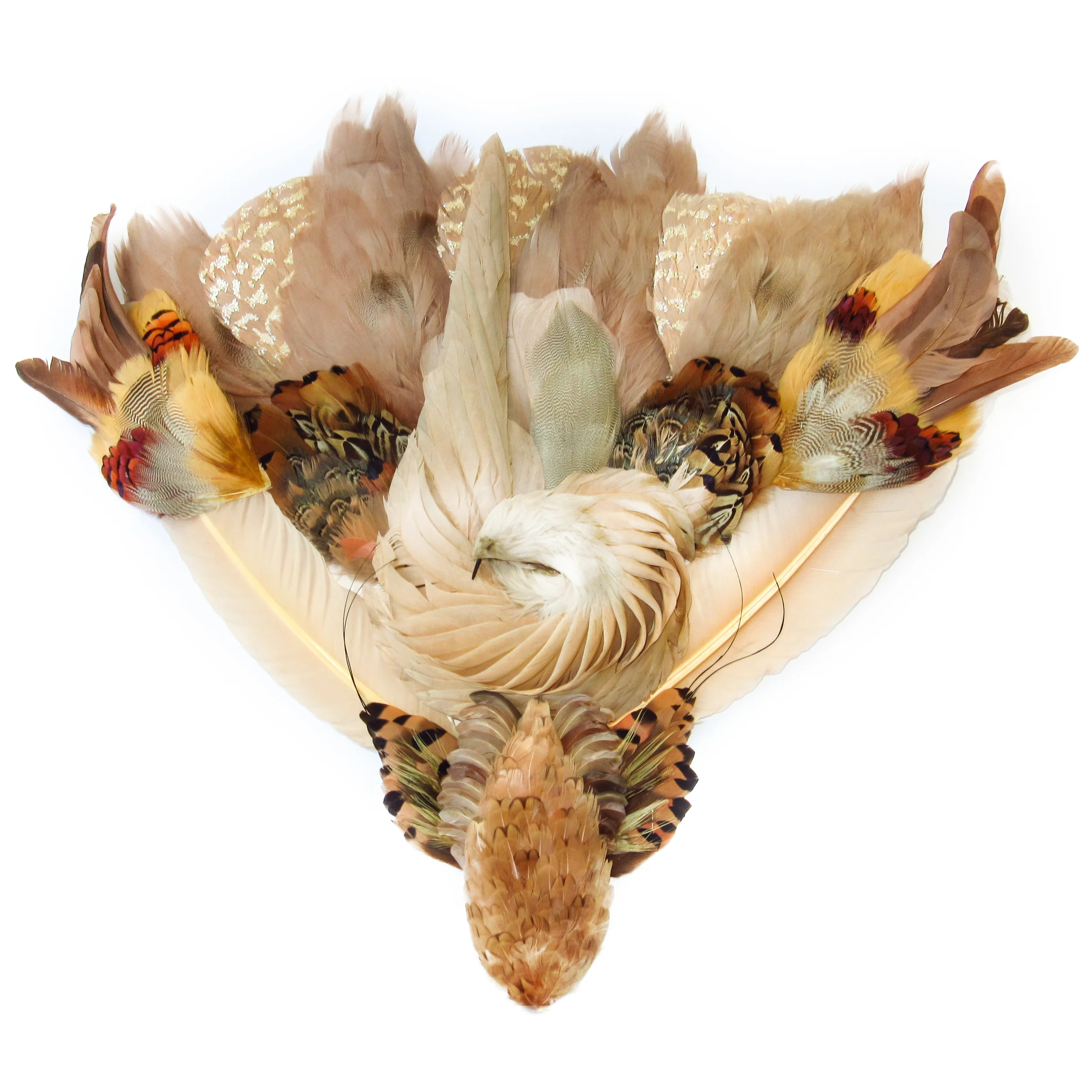 Beige feathers