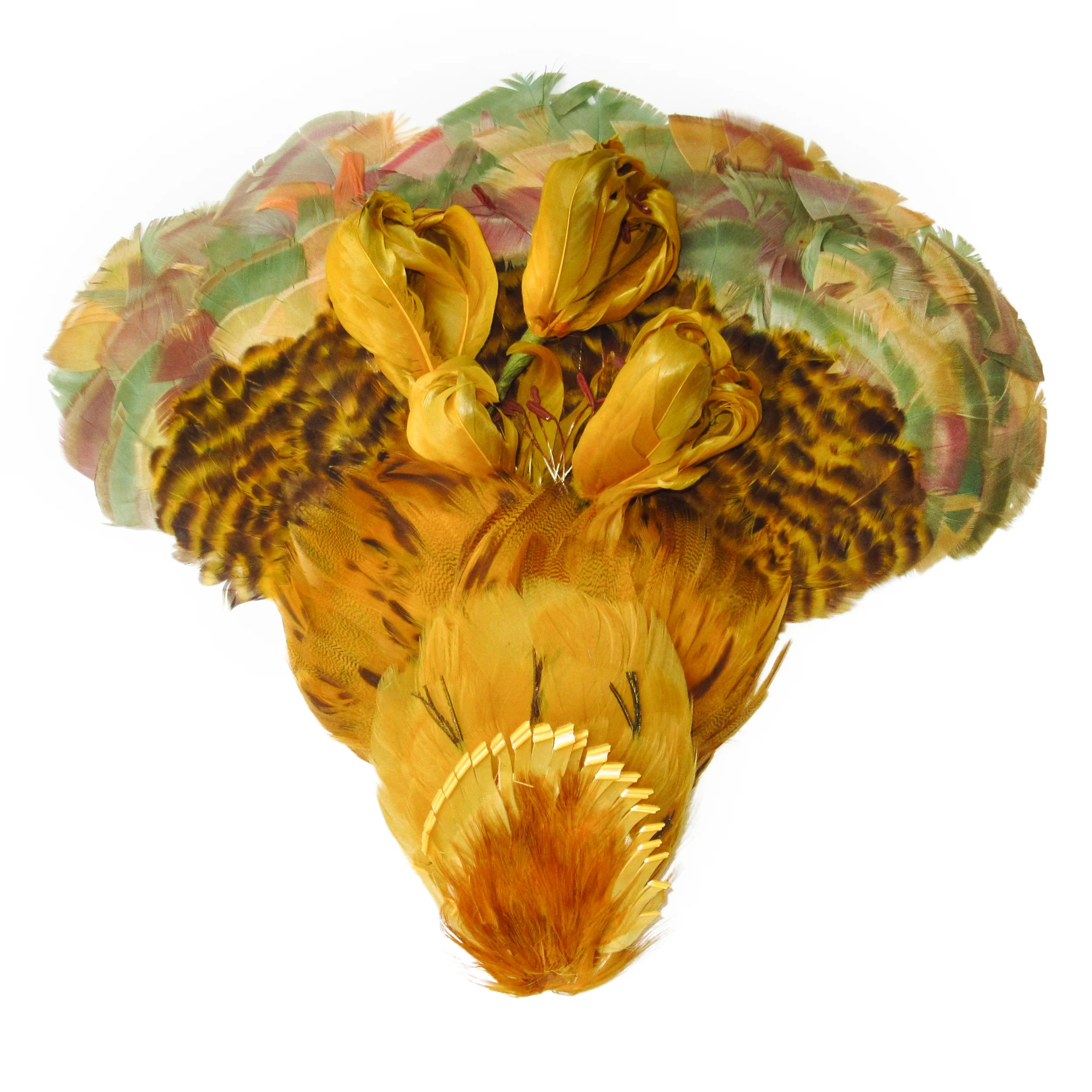 Yellow mustard feathers