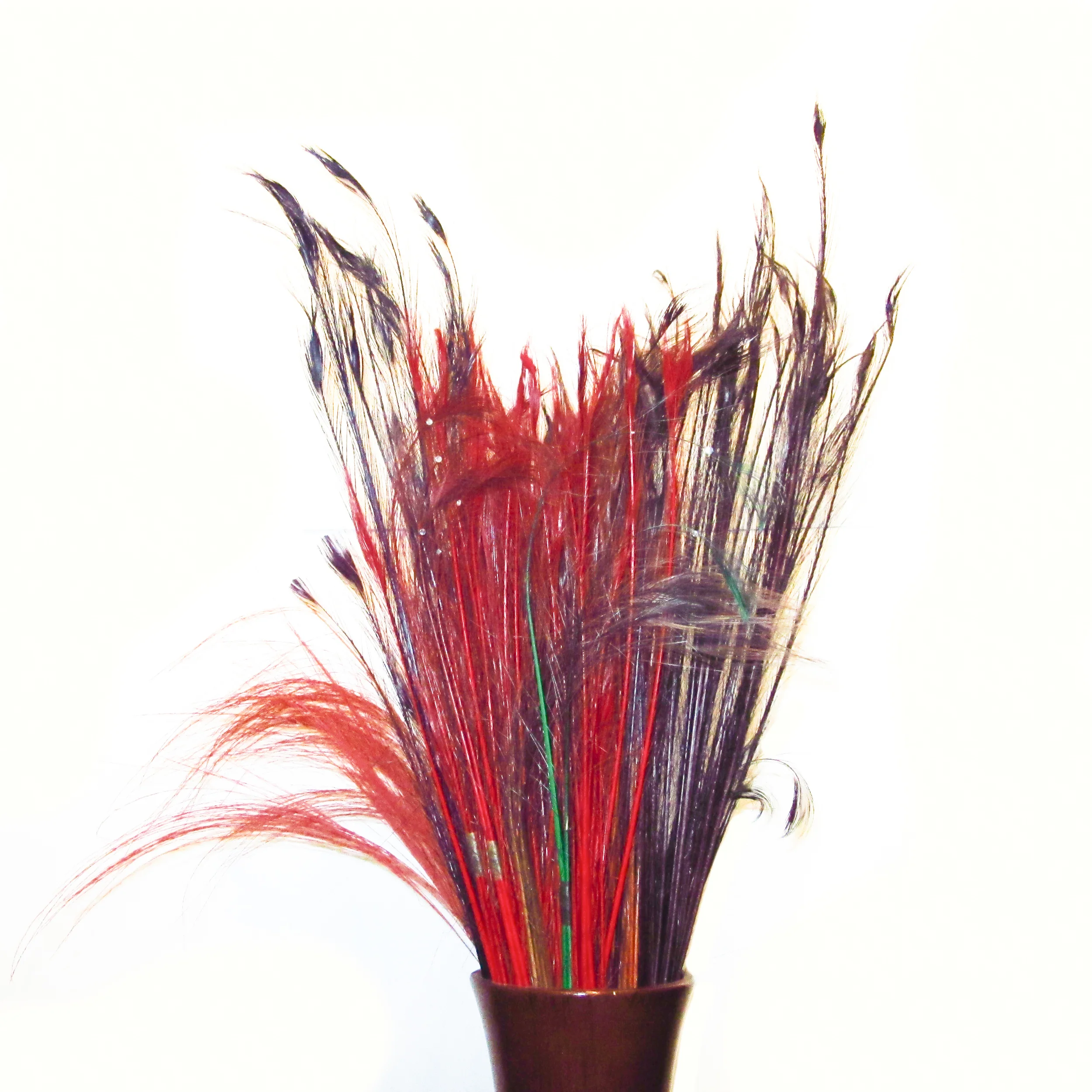 Dyed peacock feathers