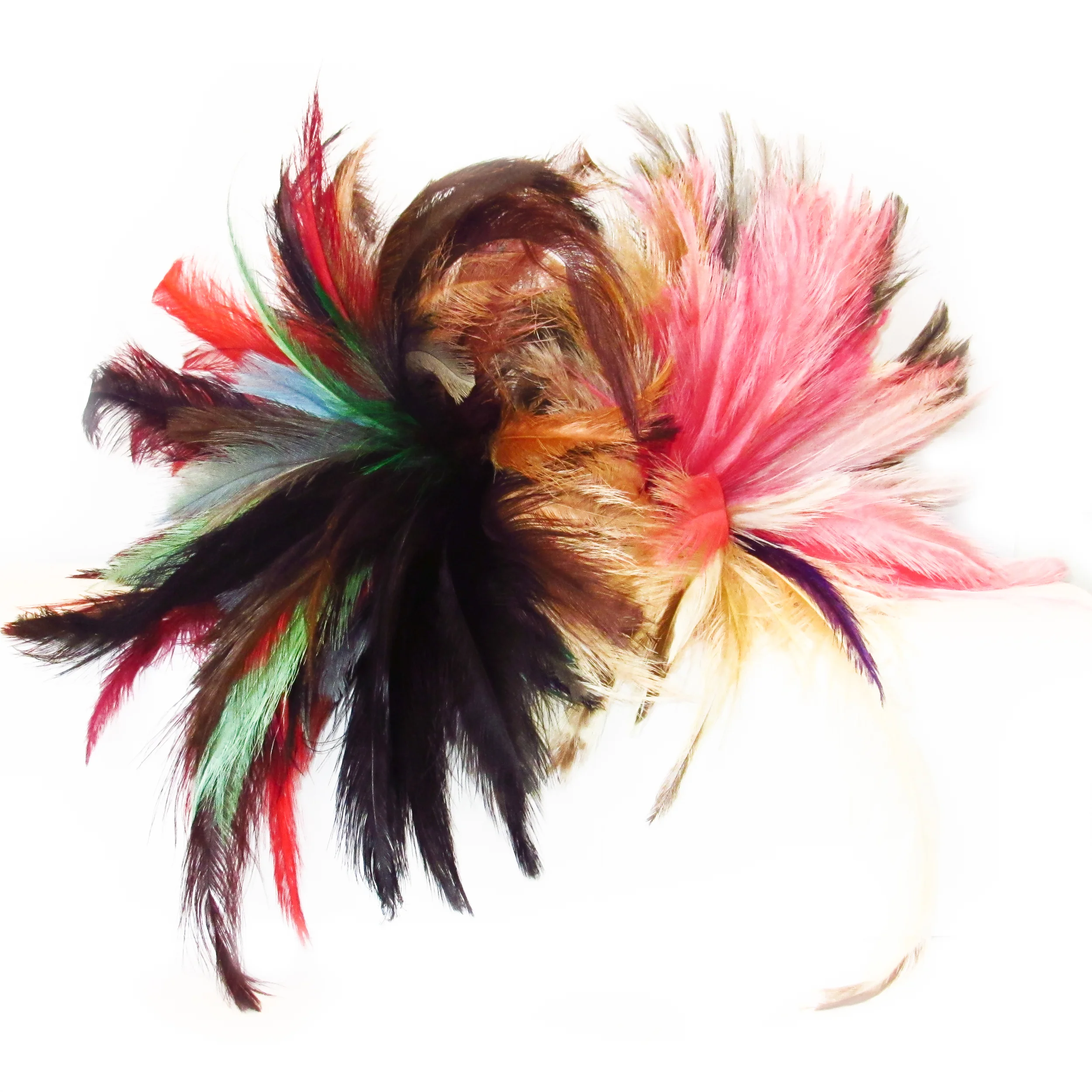 Ostrich feathers
