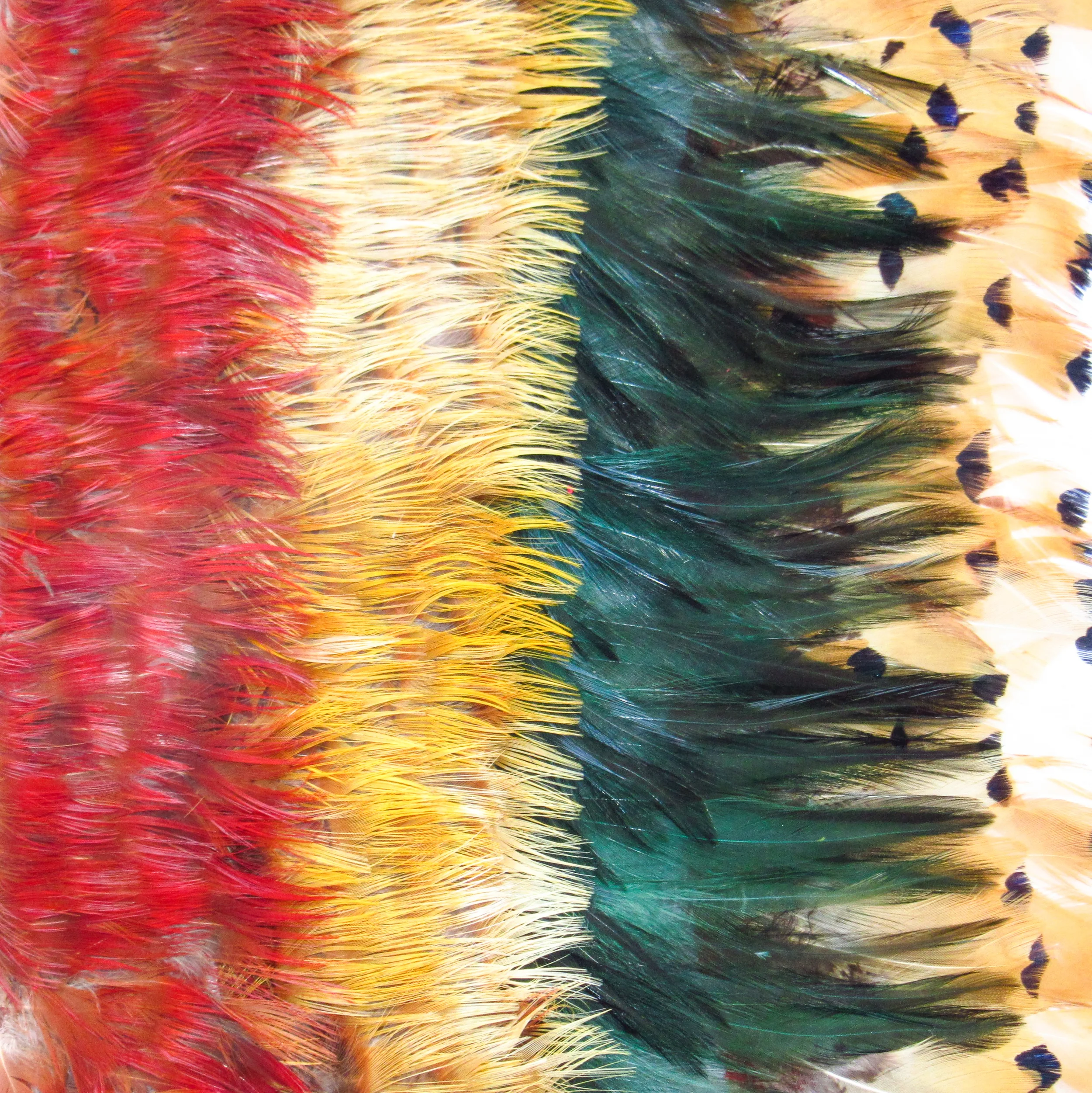 Wing feathers 40 cm