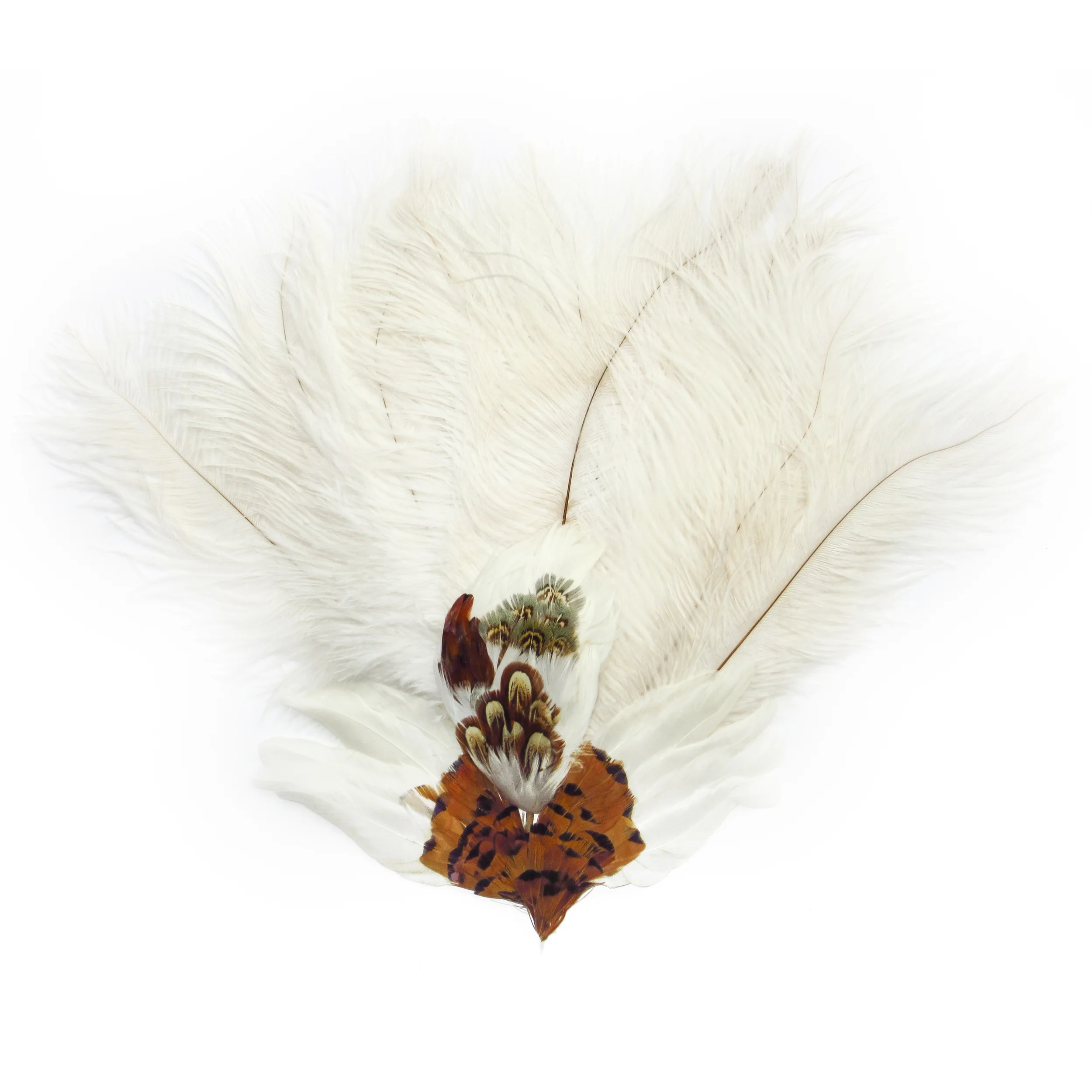 White feathers