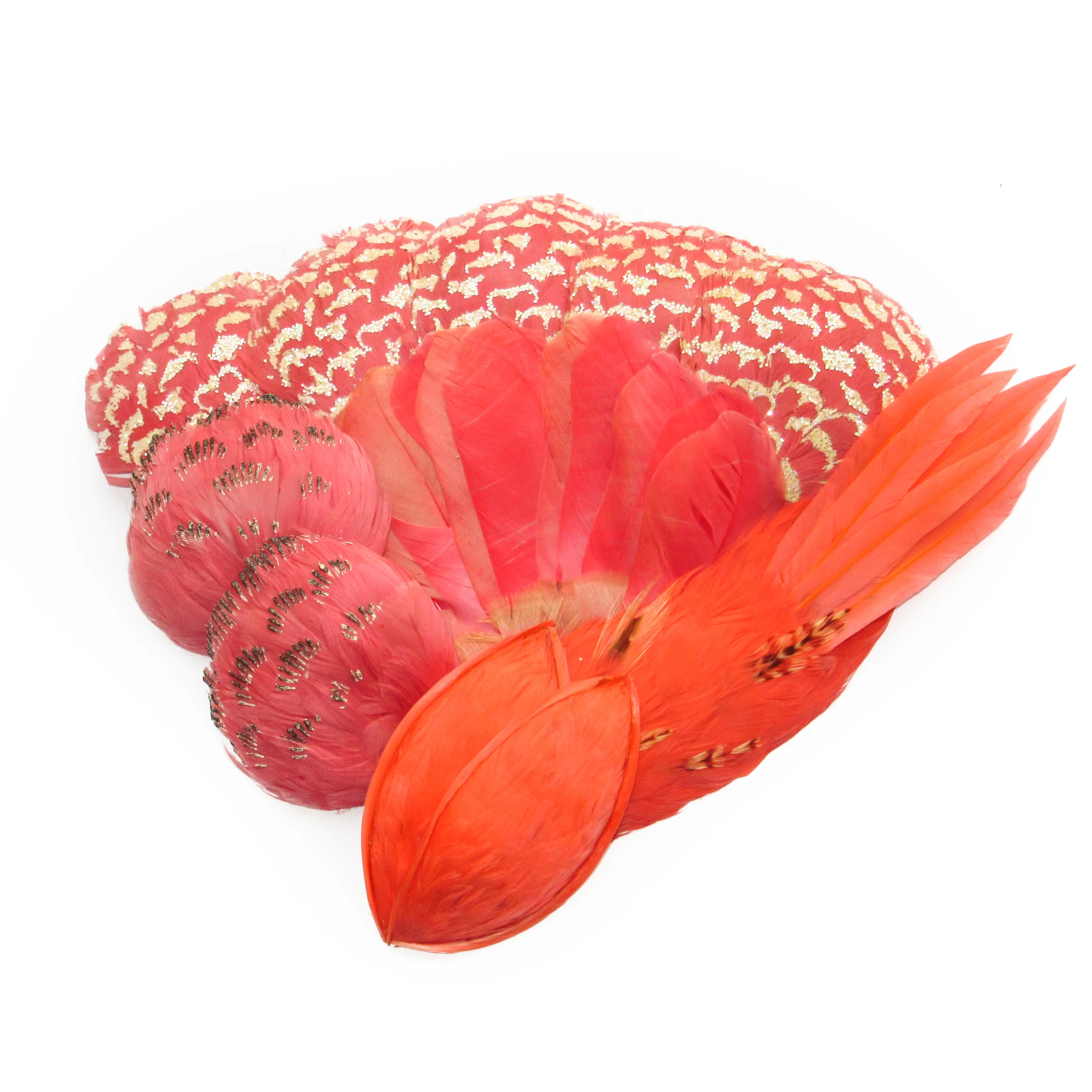 Coral feathers