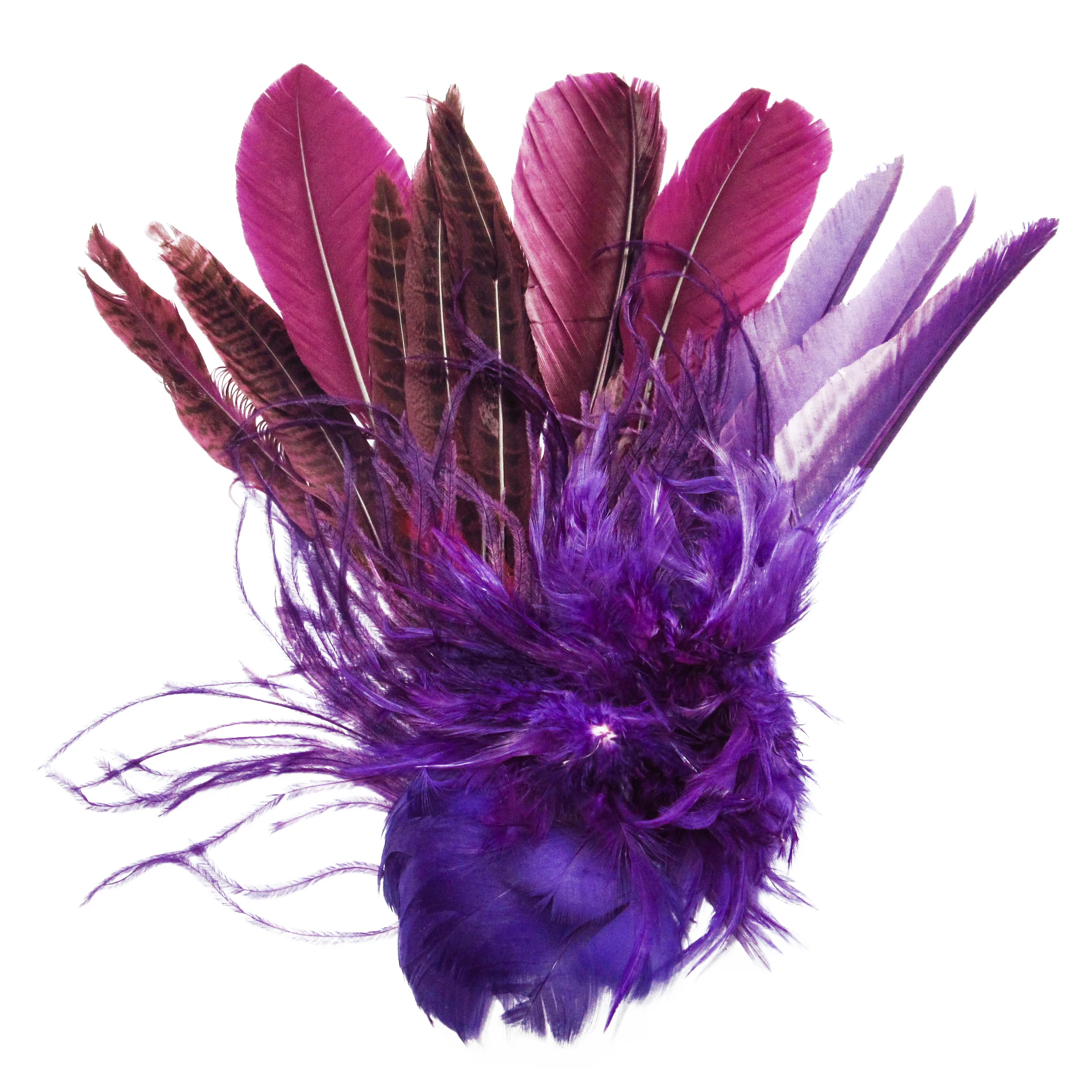 Purple feathers