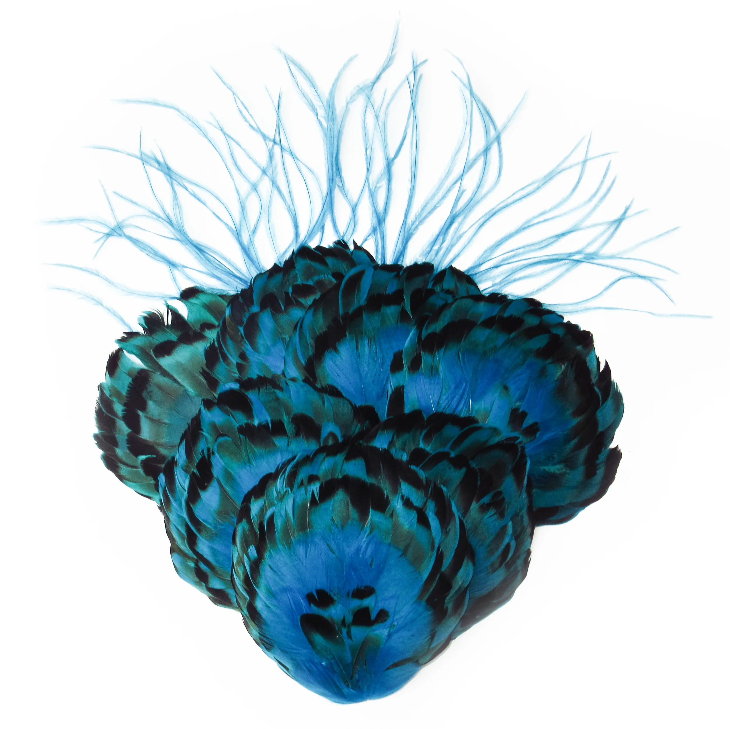 Turquoise blue feathers