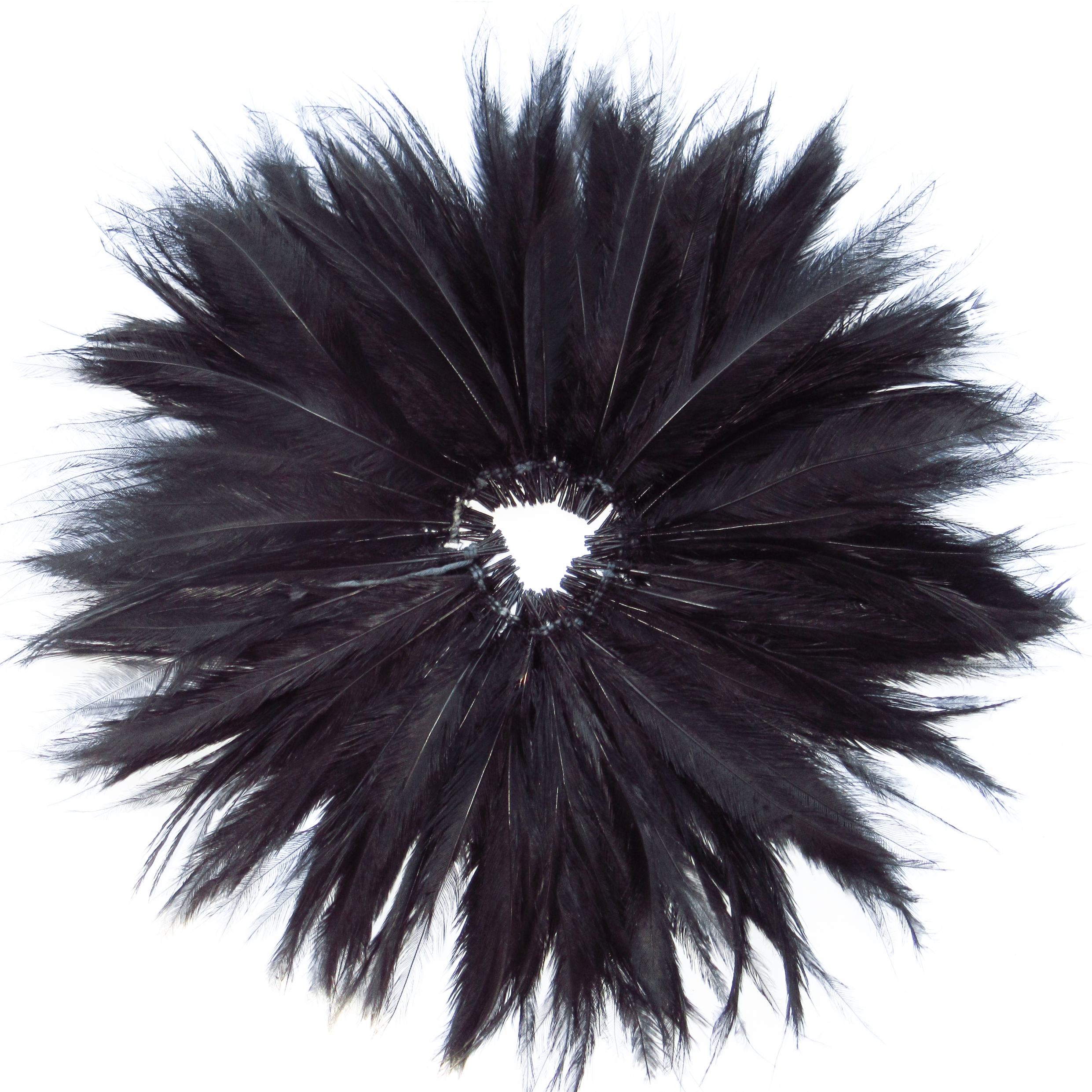 Plumes d'autruches noires