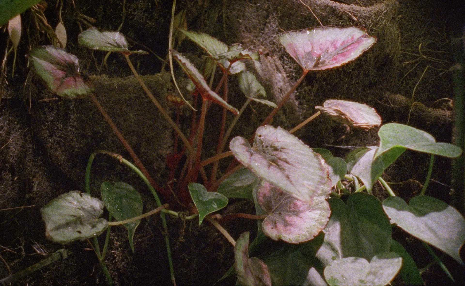 Untitled_1.1.15_edit.jpg