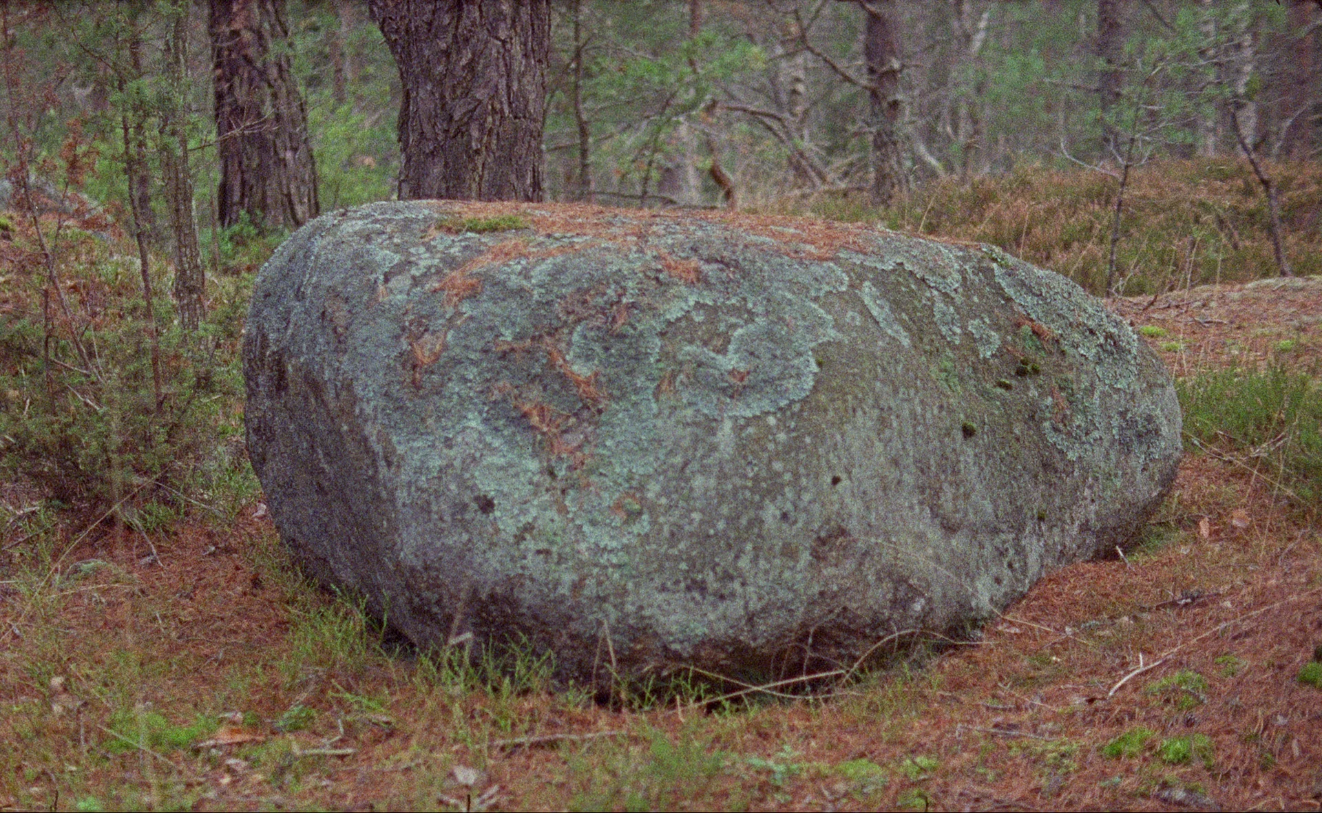 WM_still_rock.jpg