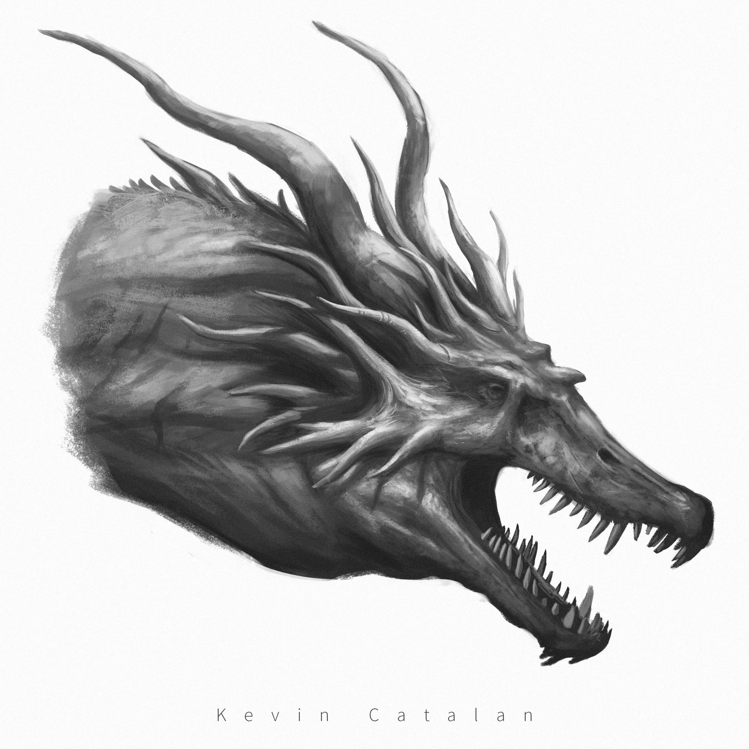 DragonBust copy.jpg