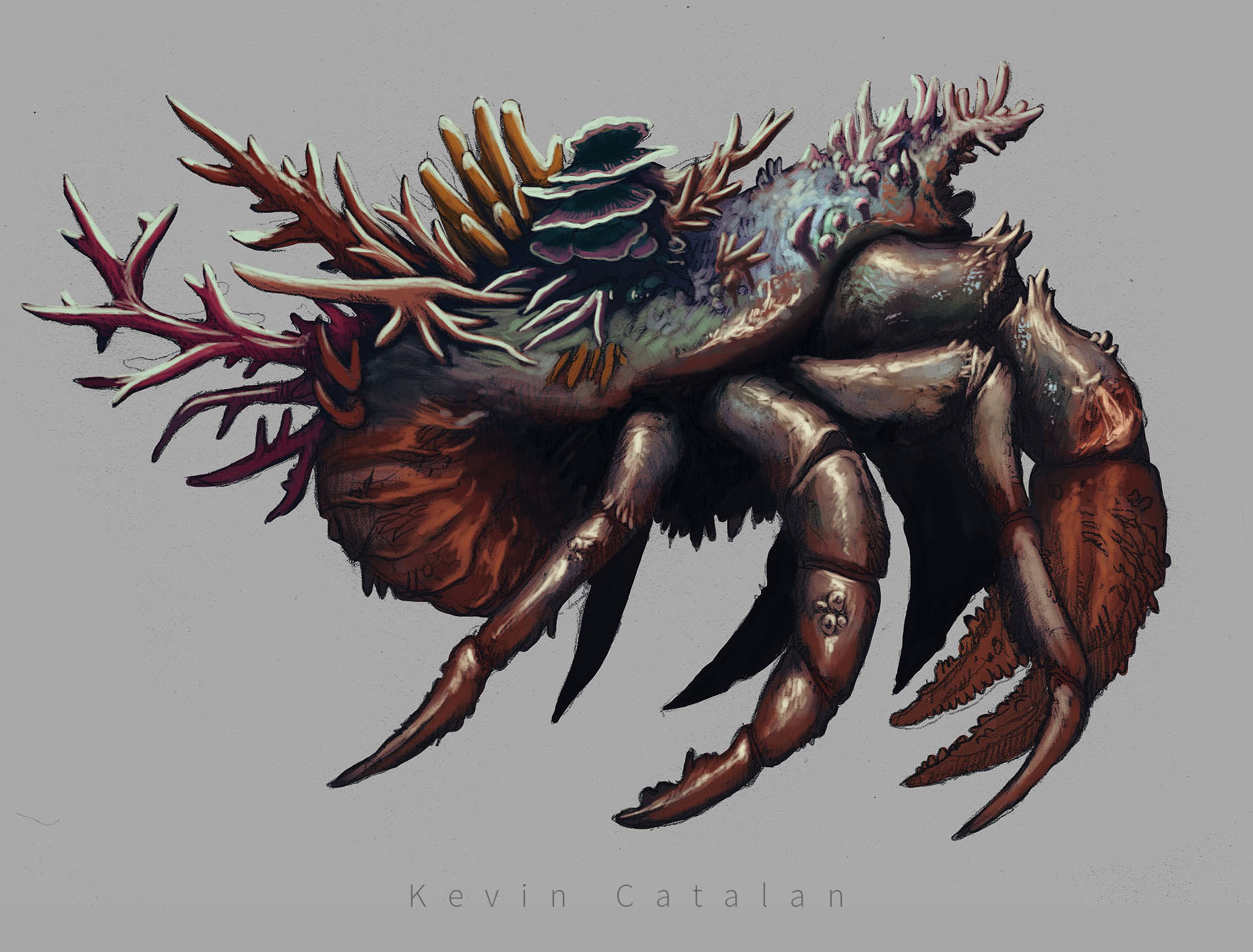 Crabs copy.jpg