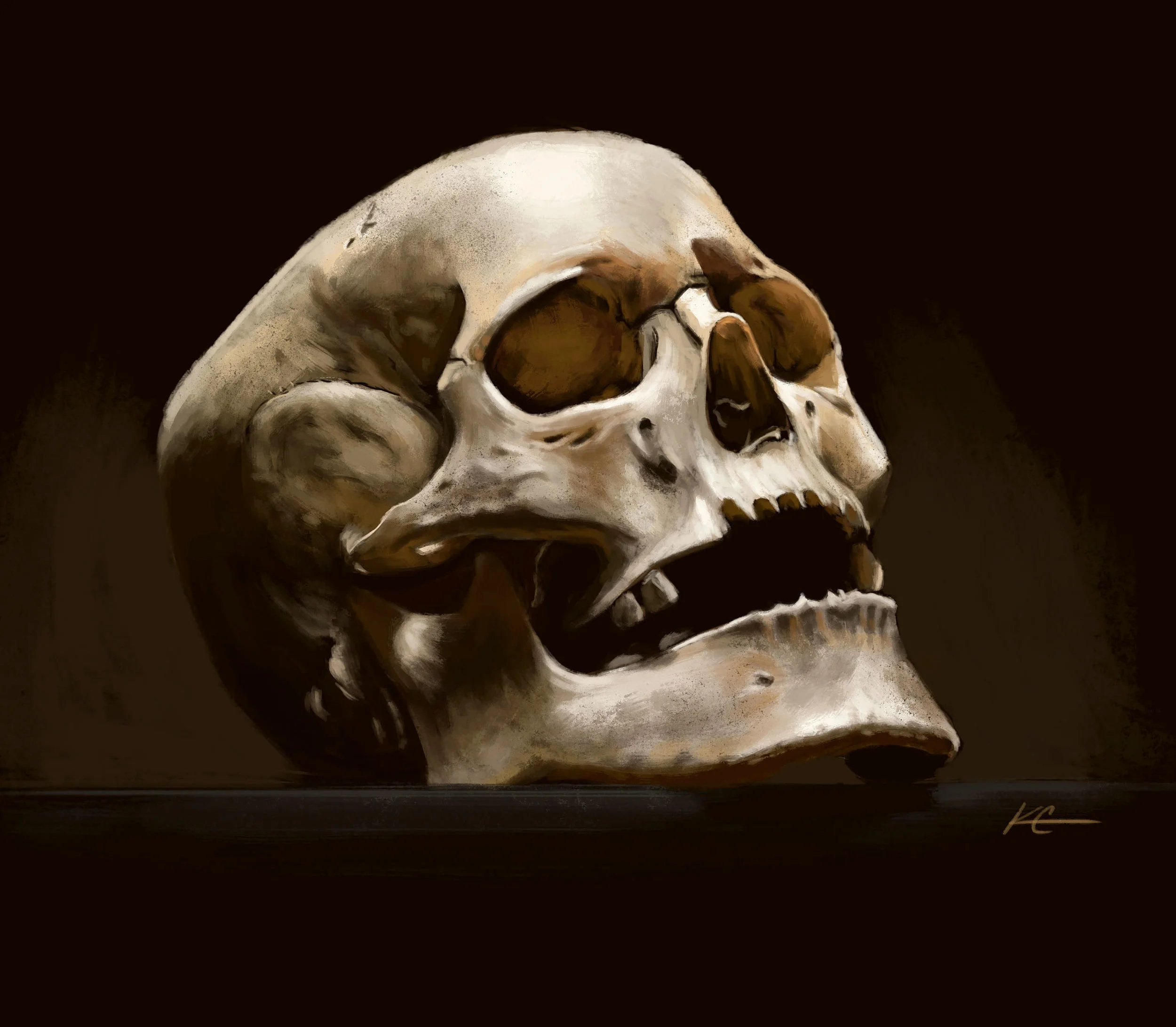 Skull-study copy.jpg