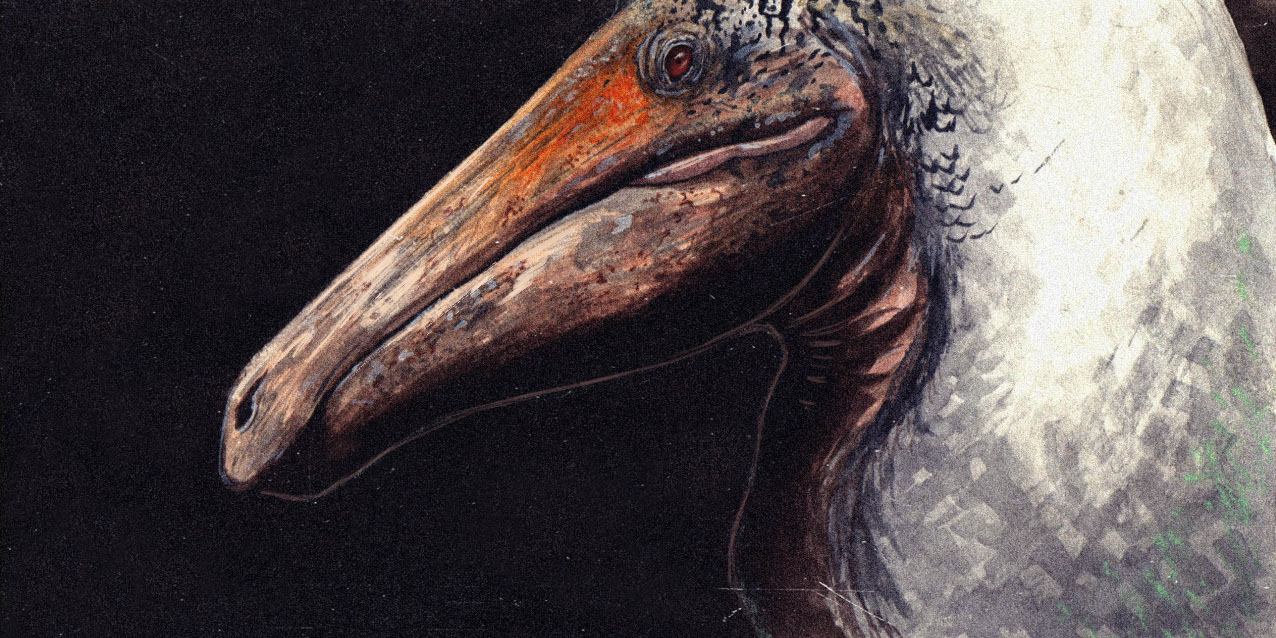 deinocheirus.jpg