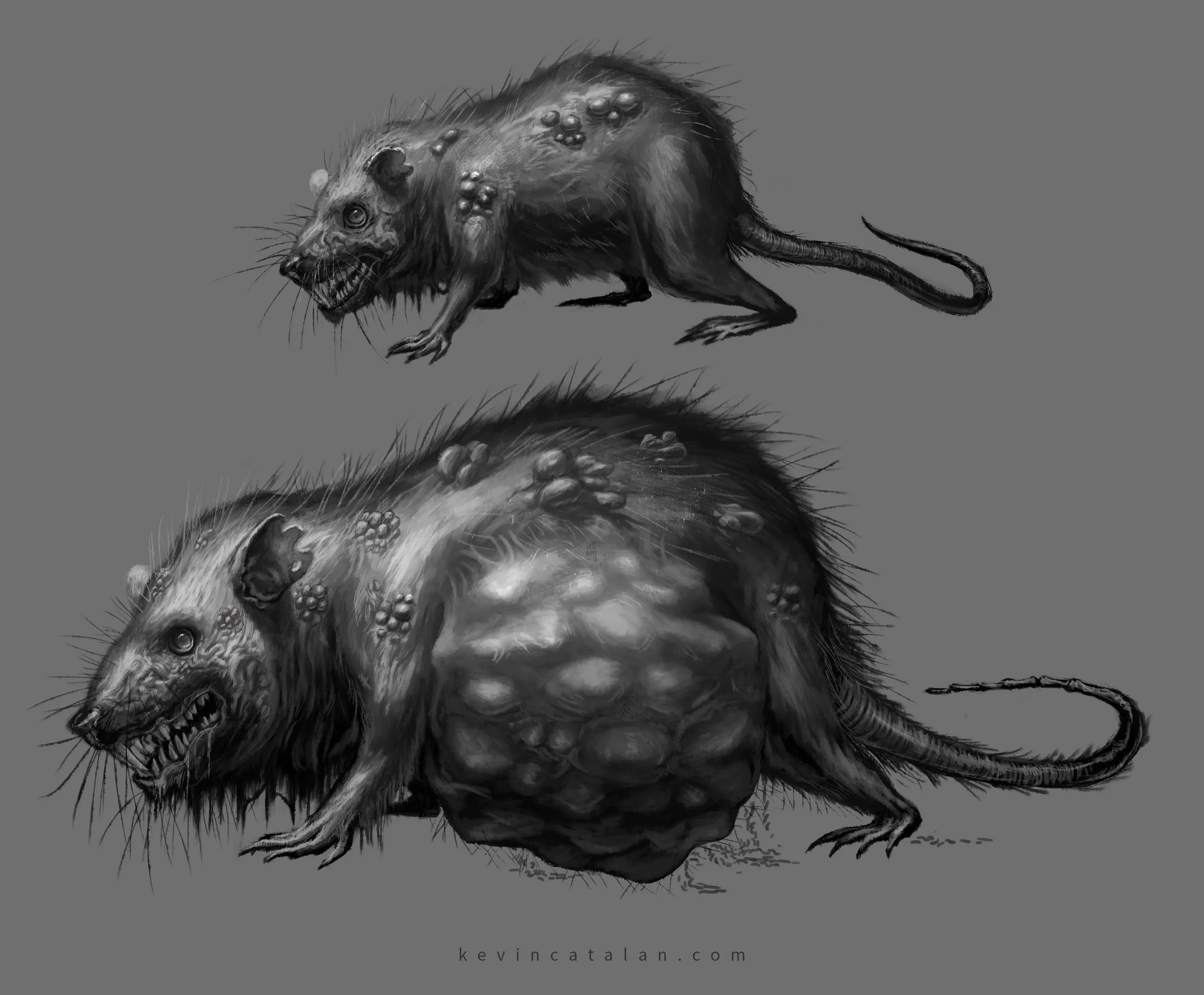 Dnd-Rats.jpg