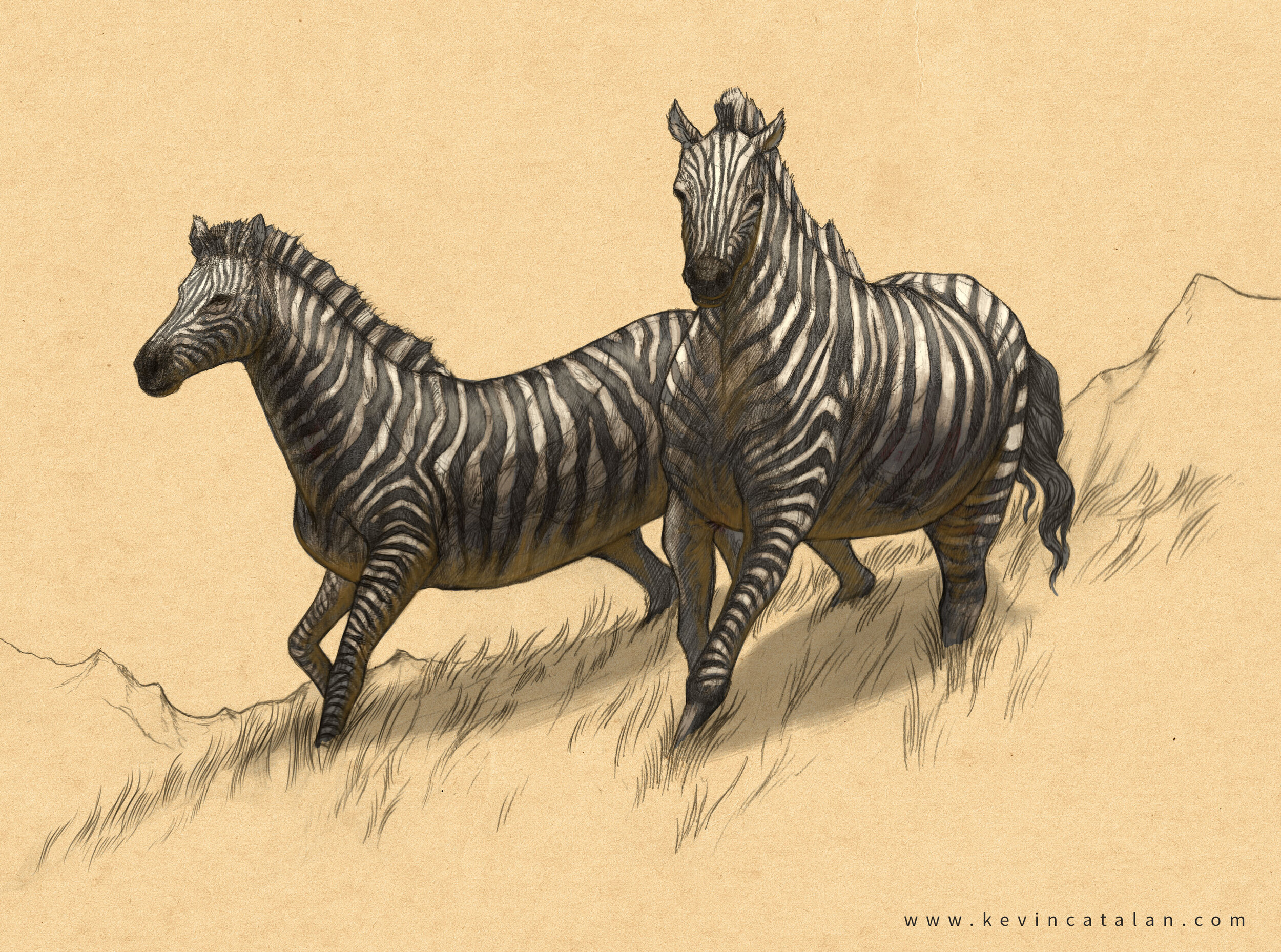 Zorse
