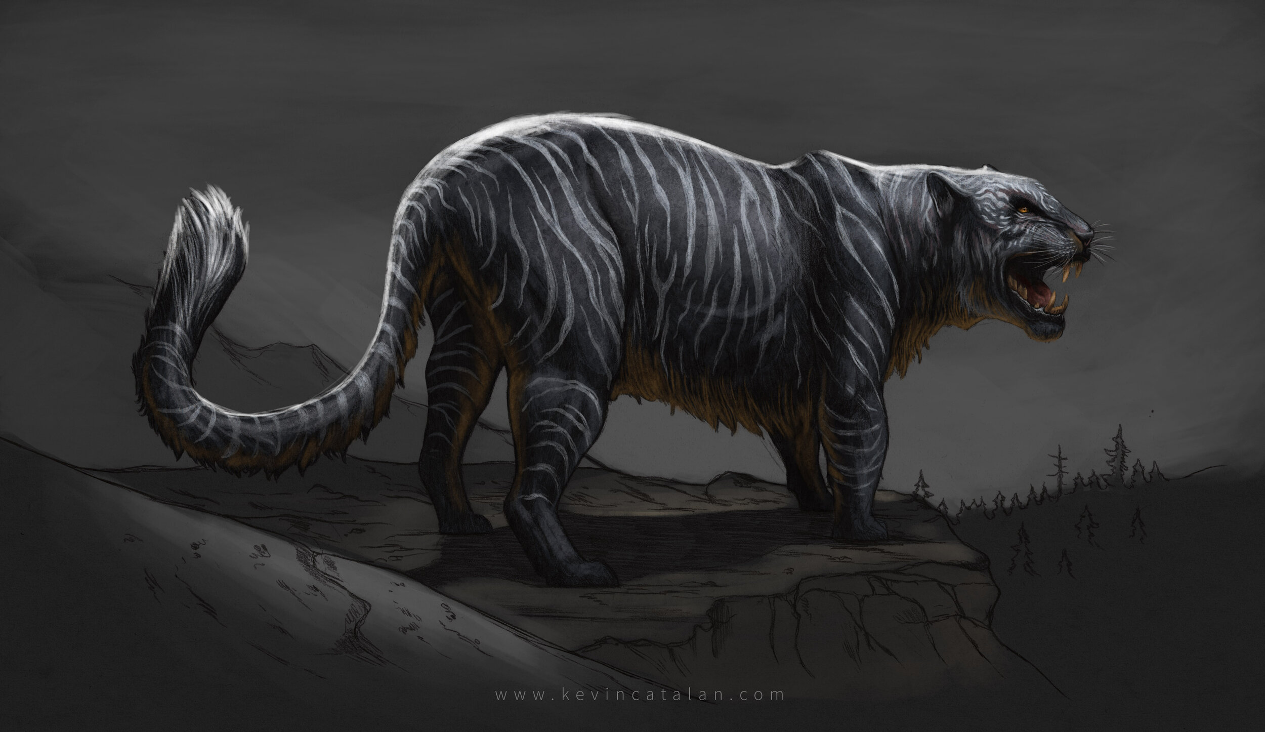Shadowcat