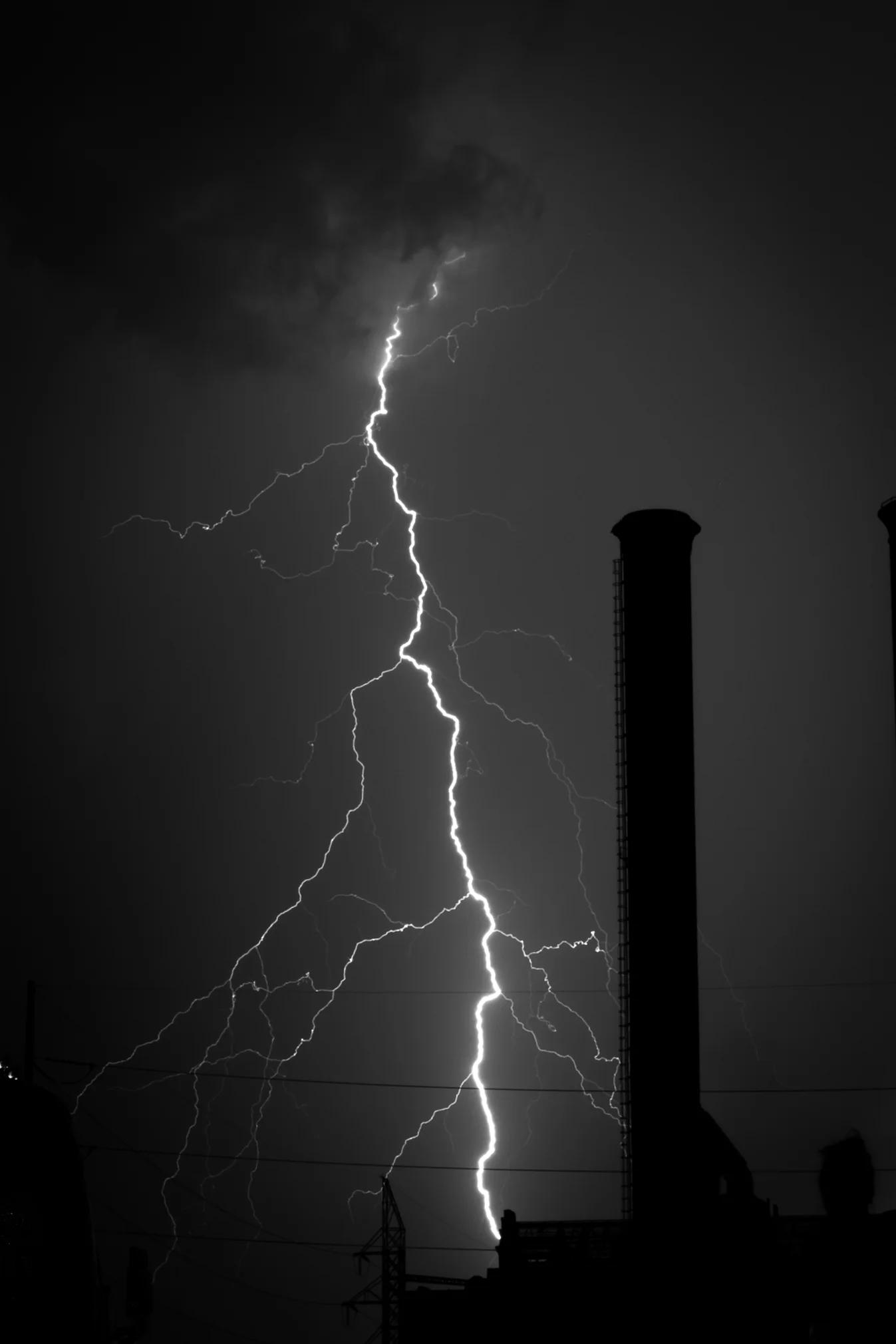 6Y5A4365-7.jpg