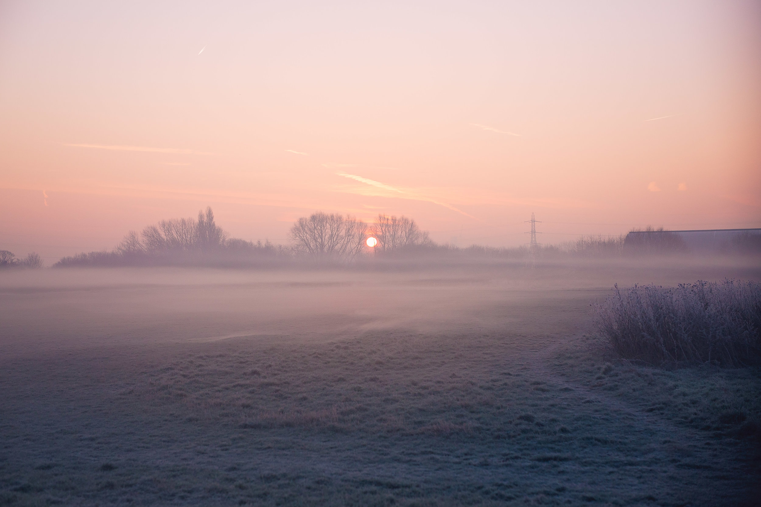6Y5A1239-Edit.jpg