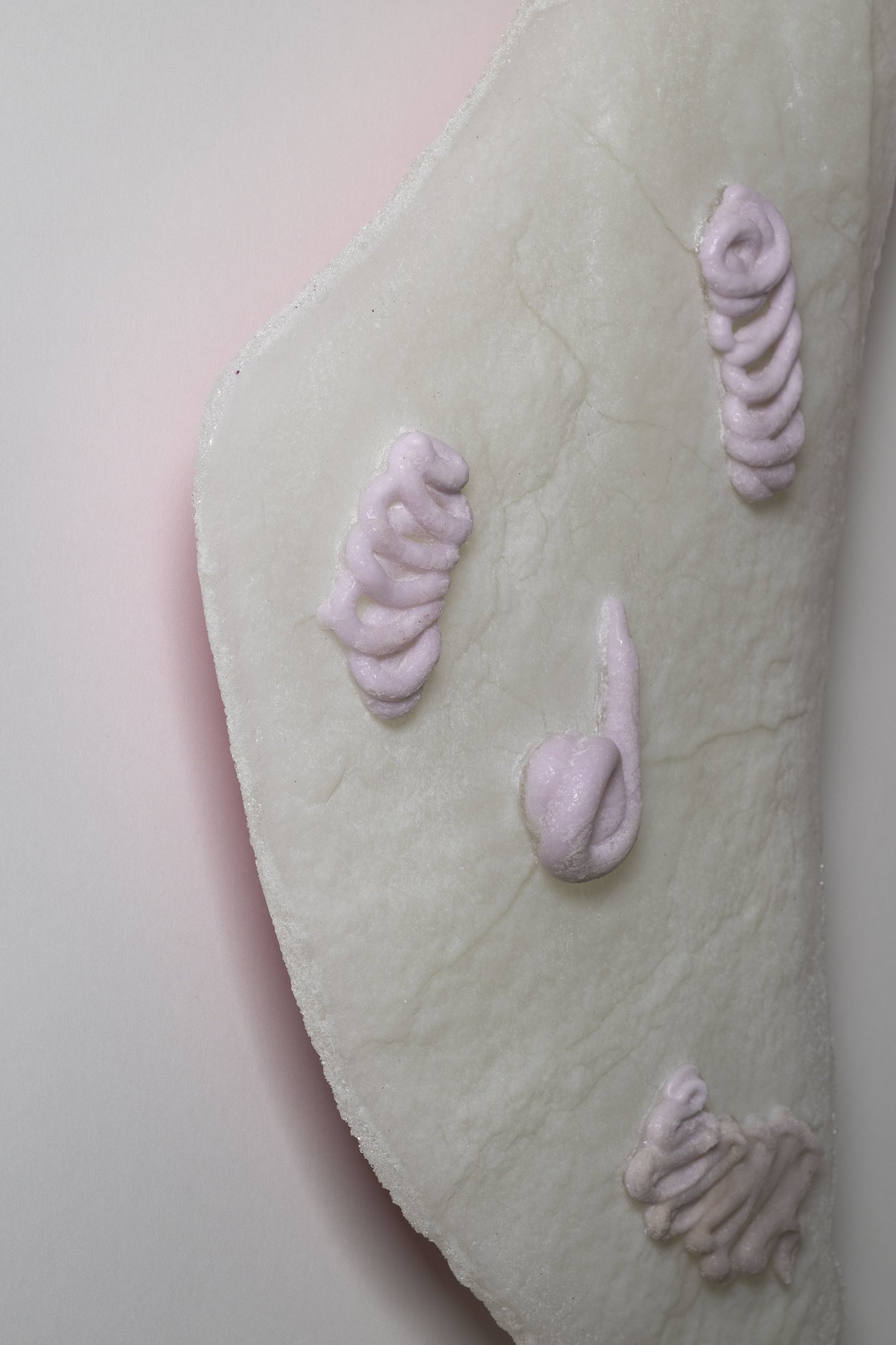 Foreign Bodies, detail