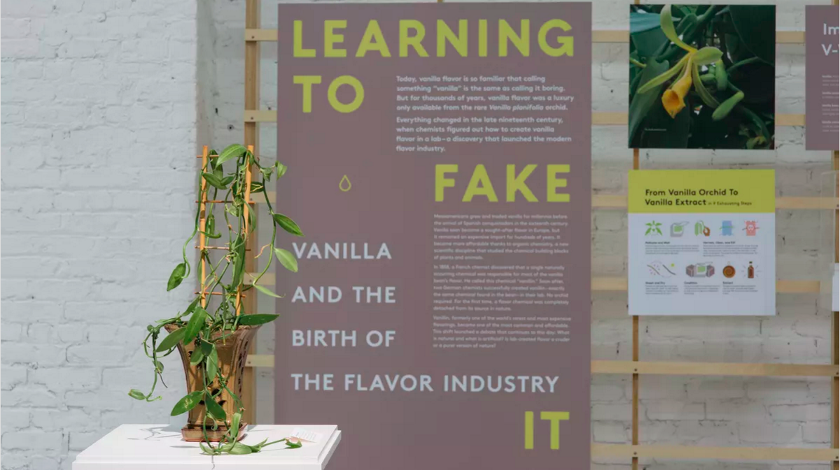 Inside MOFAD Lab: How Vanilla Went from a Tropical Rarity to Ubiquitous Flavoring