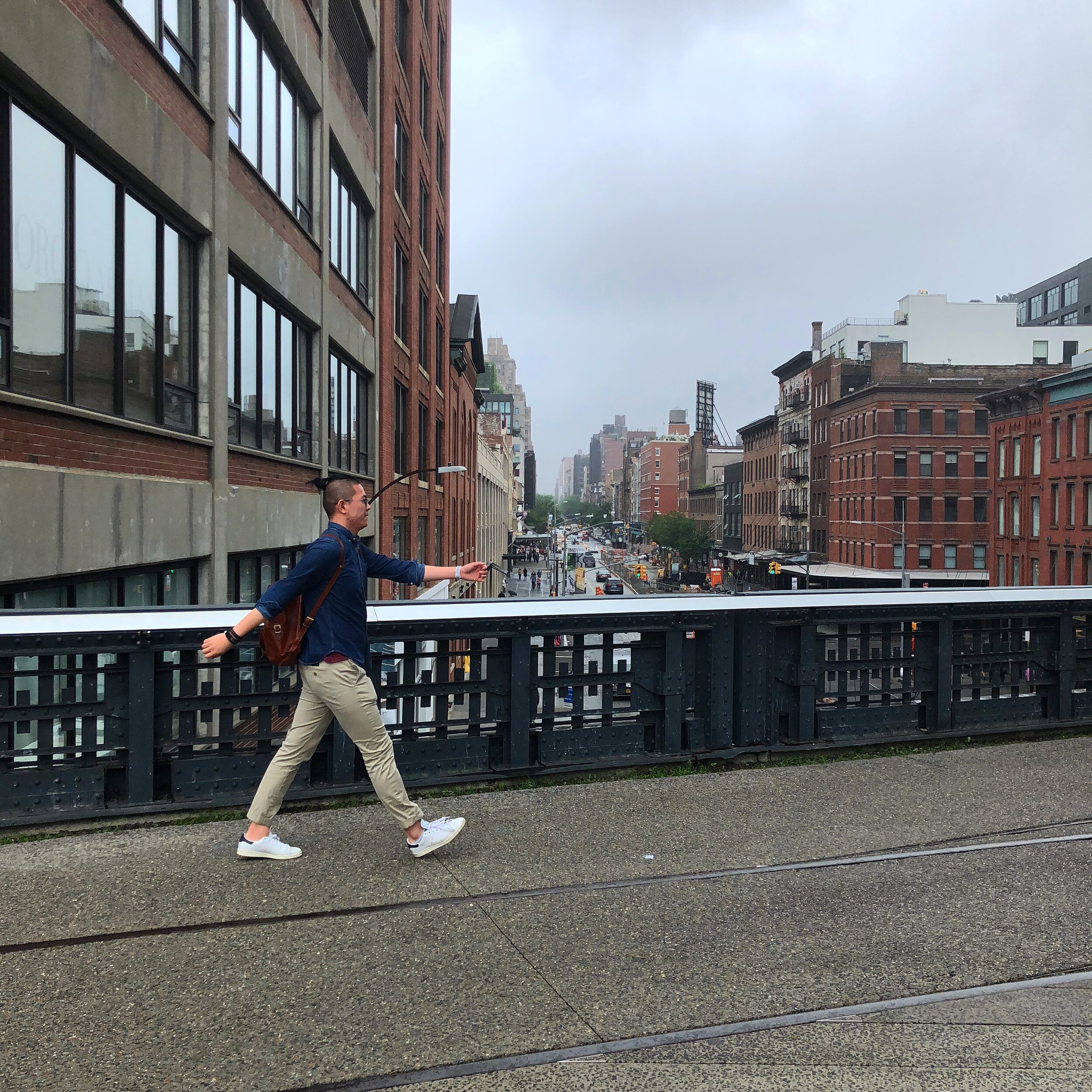 WalkingThrough the HIgh Line