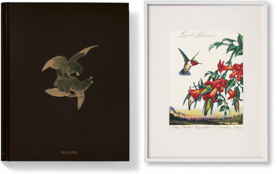Only 100 copies were made of this $10,000 Taschen edition by Walton Ford, which (before selling out) came with a specially-made, original, six-color intaglio print, Limed Blossoms .
