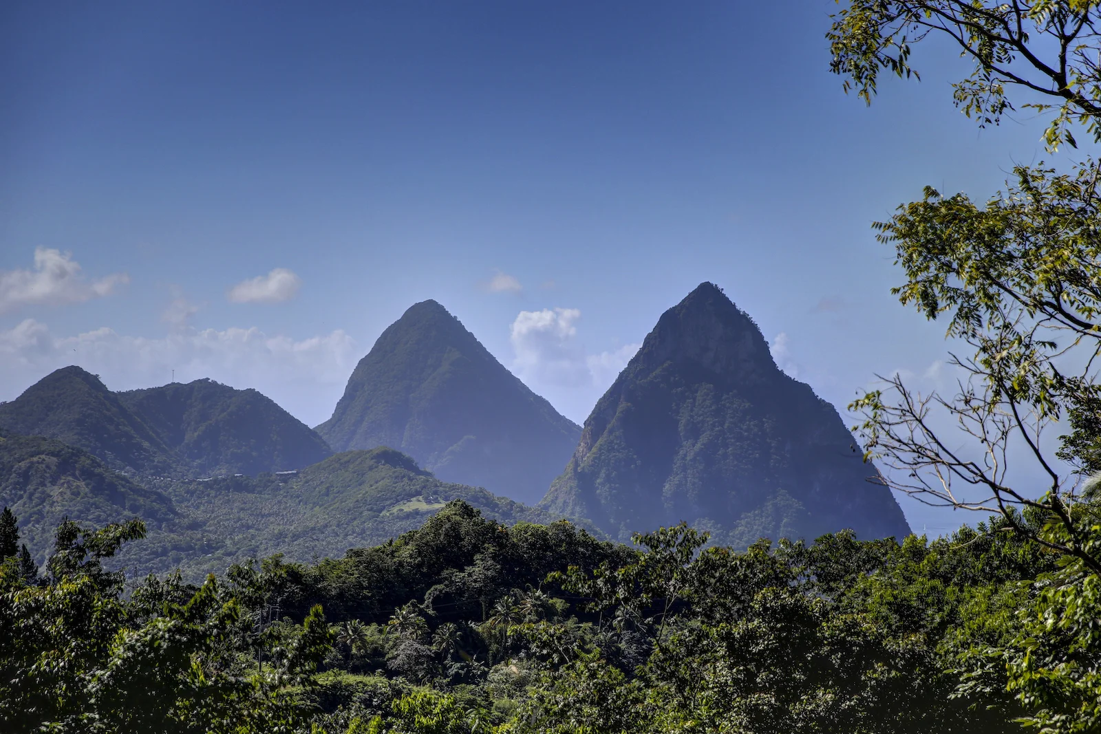 2015 STL ARTA-12.JPG