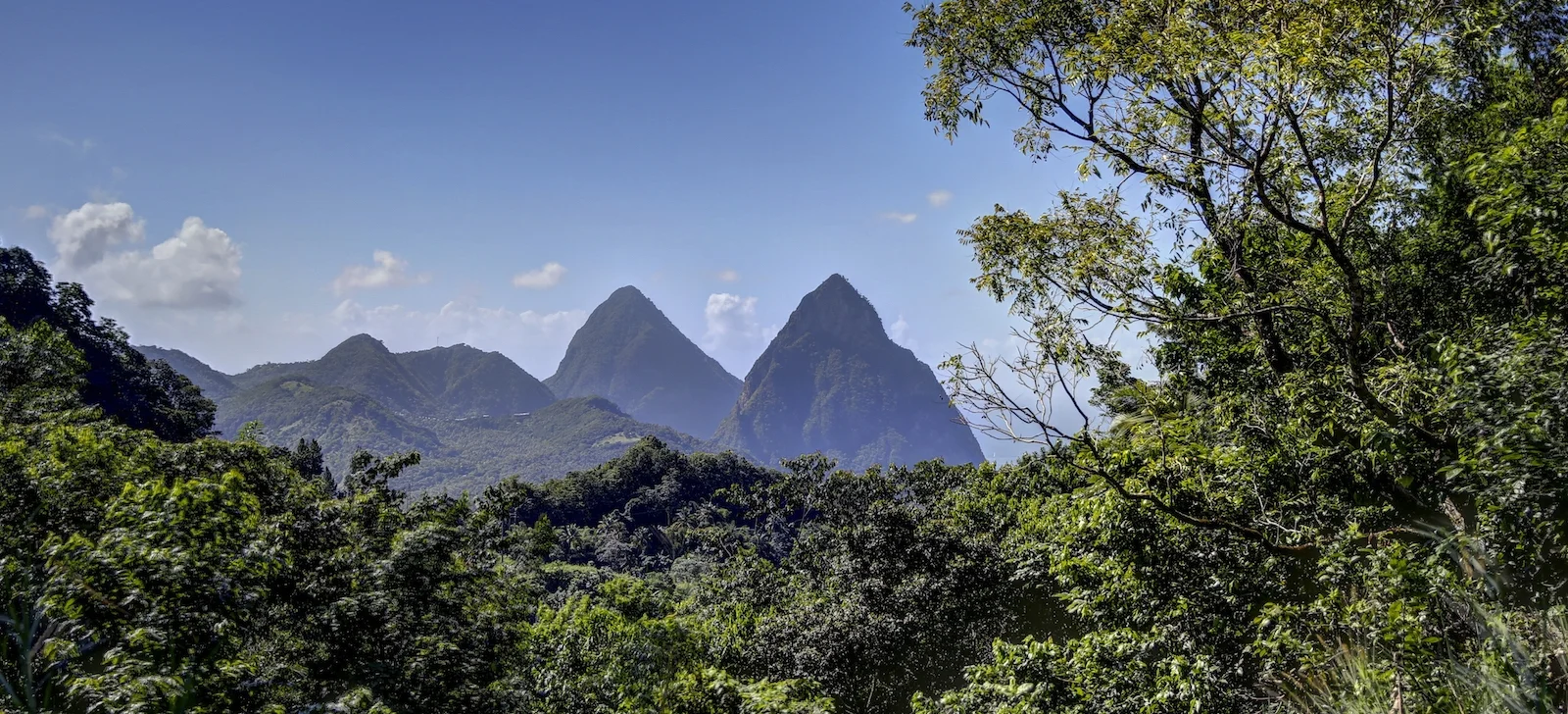 2015 STL ARTA-13.JPG