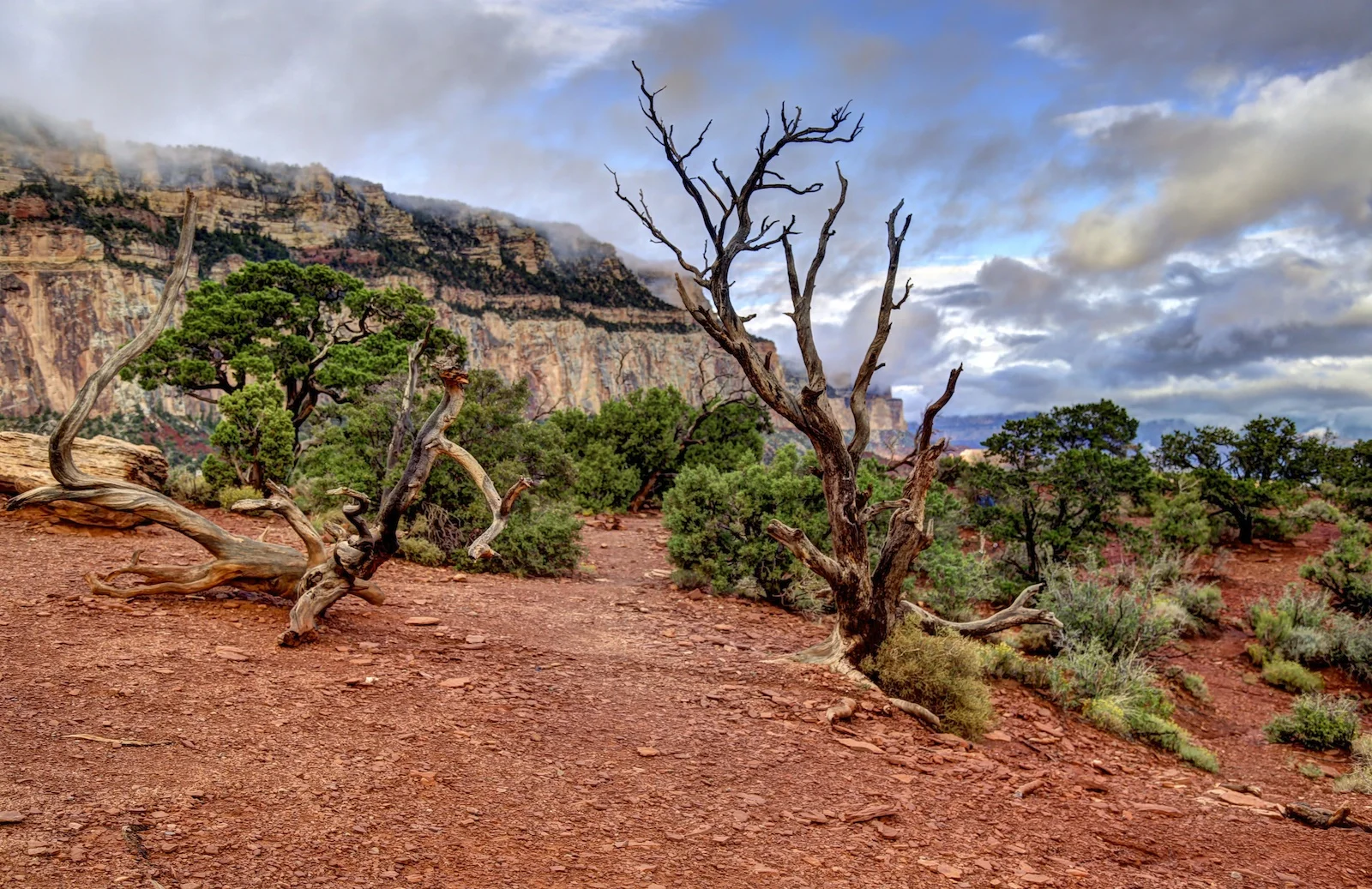 gc 12 - South Kaibab trail.jpg