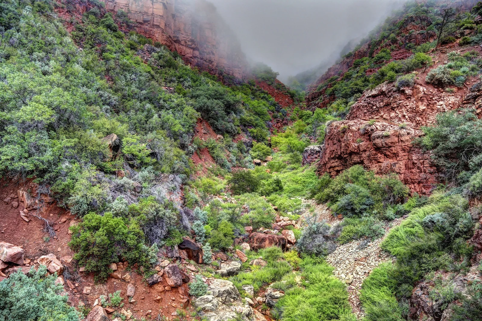 gc 26 - North Kaibab trail.jpg