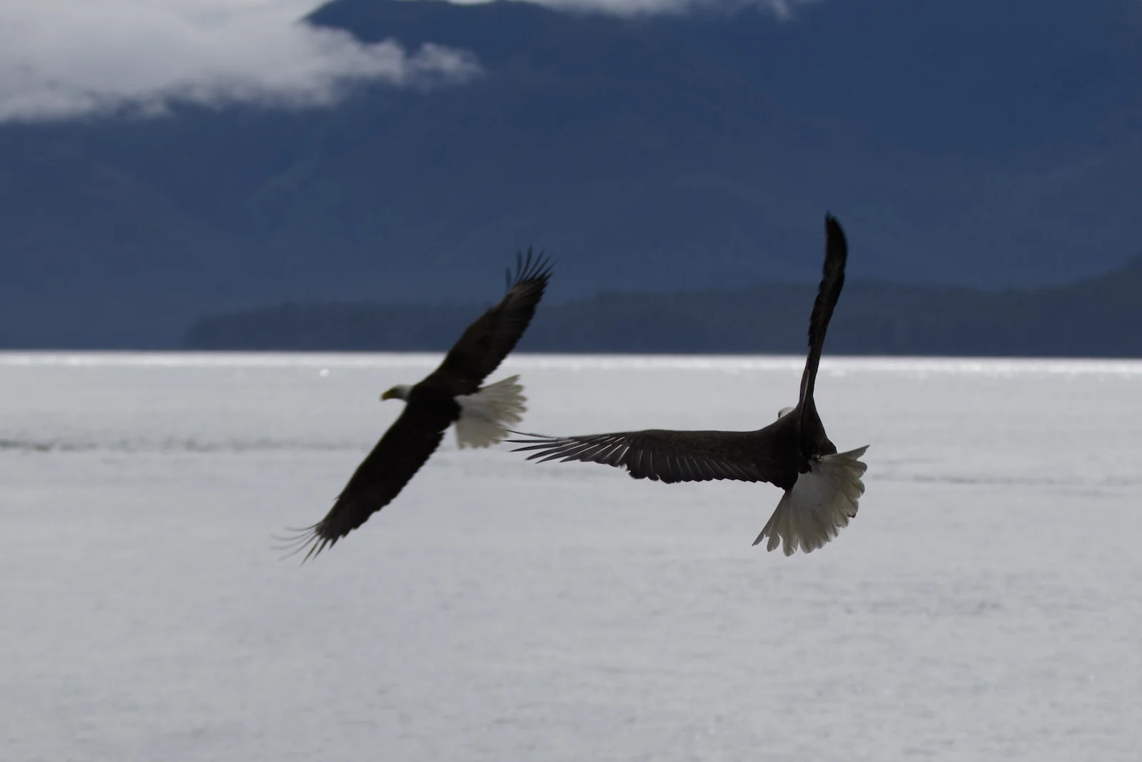 2015 JUL RT 1-41.JPG