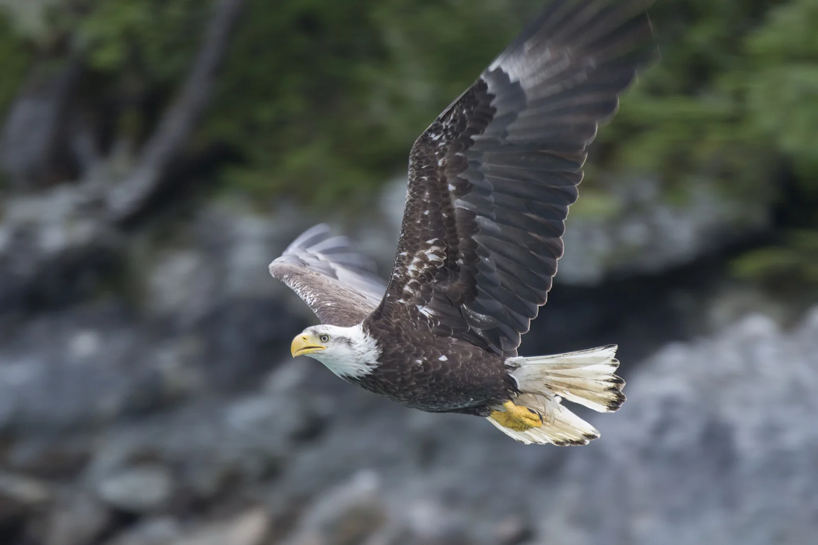 2015 JUL RT 1-43.JPG