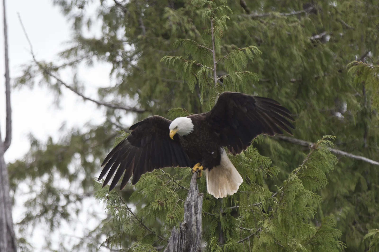 2015 JUL RT 1-44.JPG