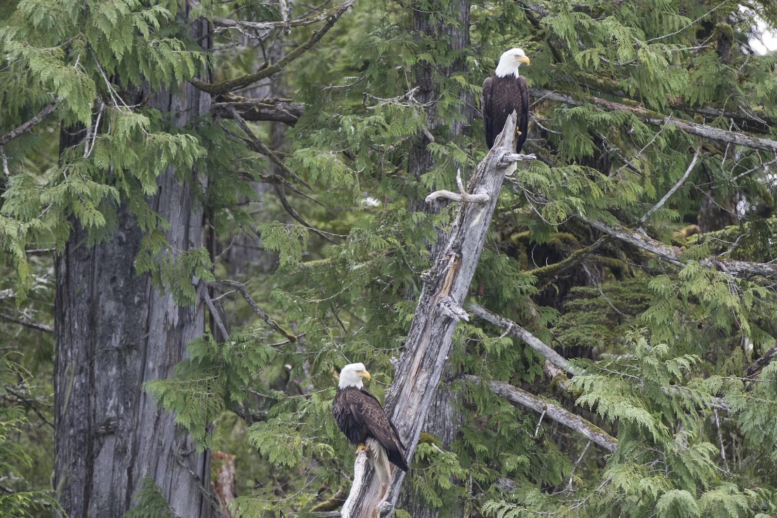 2015 JUL RT 1-46.JPG