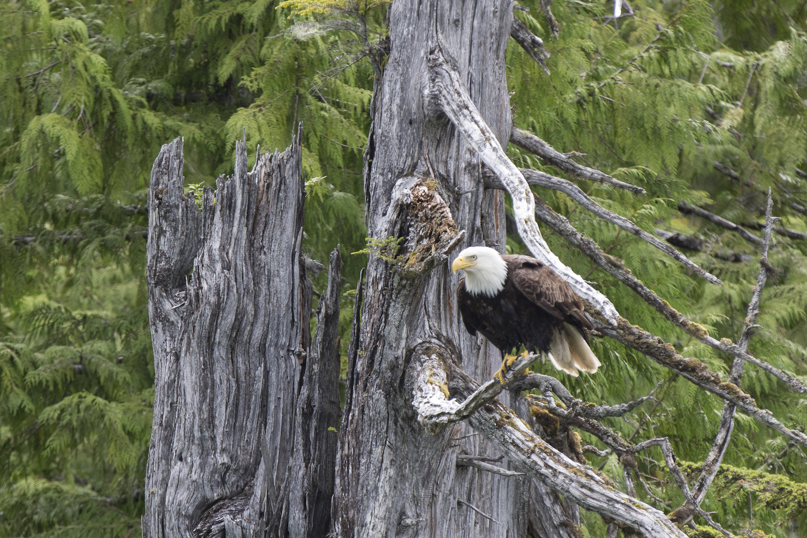 2015 JUL RT 1-47.JPG