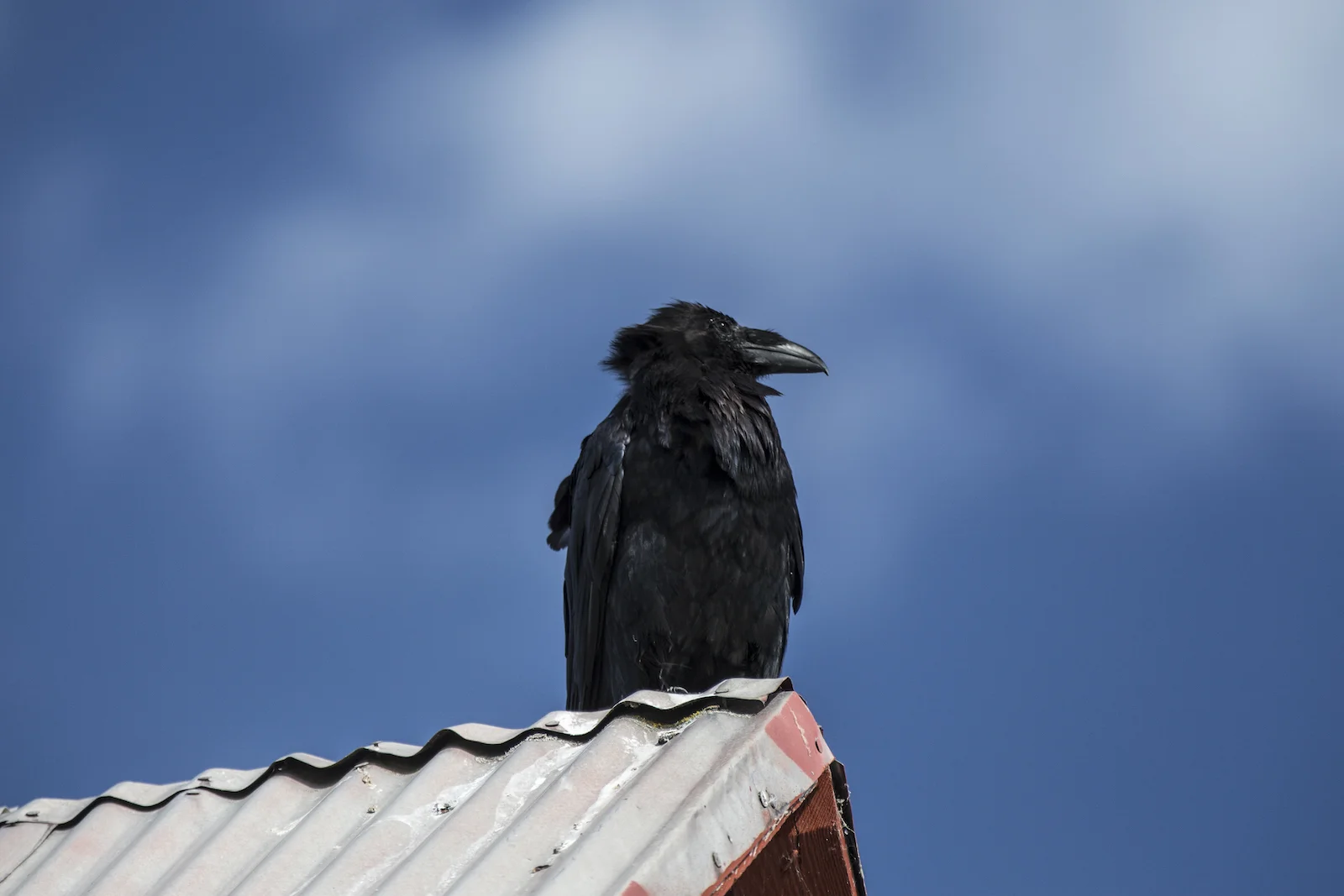 2015 JUL RT 1-14.JPG