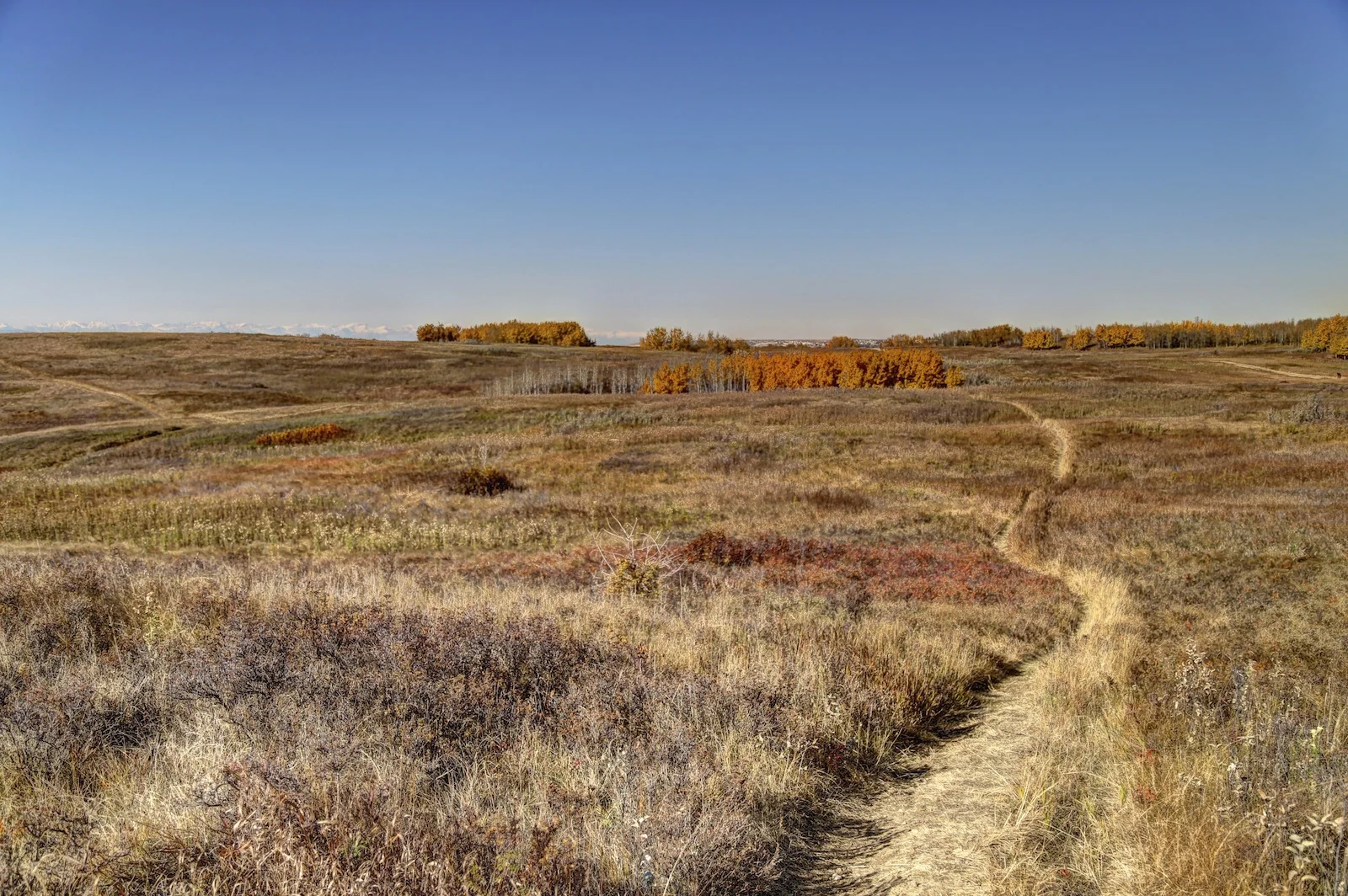 IMG_3659_60_61_62_63_64_65_fused.jpg